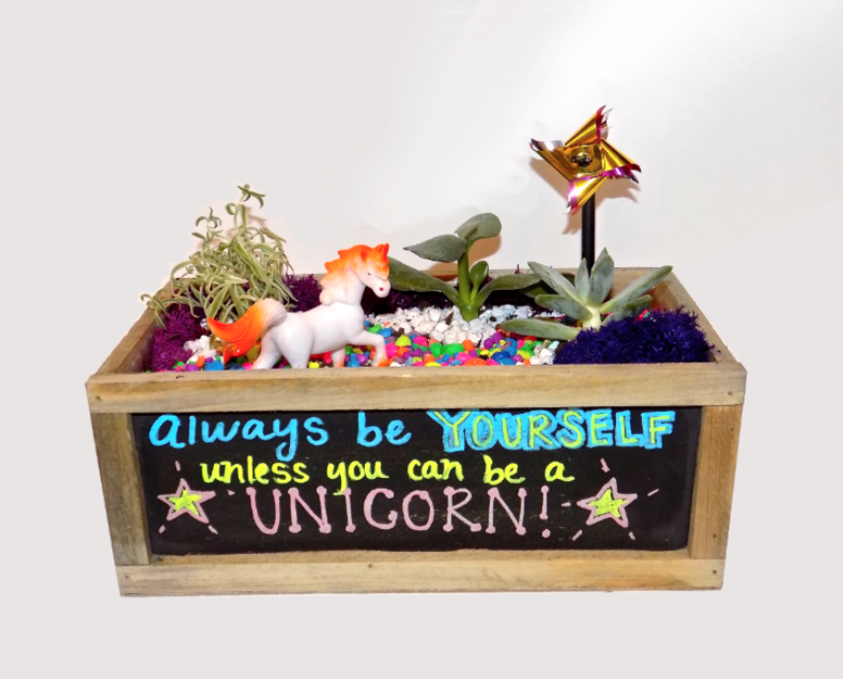A Unicorn Succulent Garden in Chalkboard Container plant nite project by Yaymaker