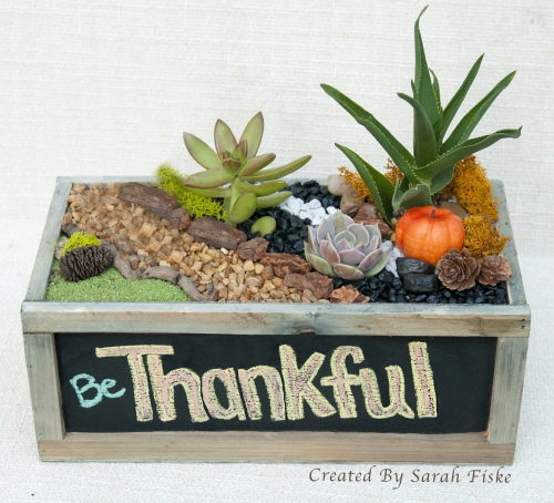 A Be Thankful Chalkboard Planter plant nite project by Yaymaker
