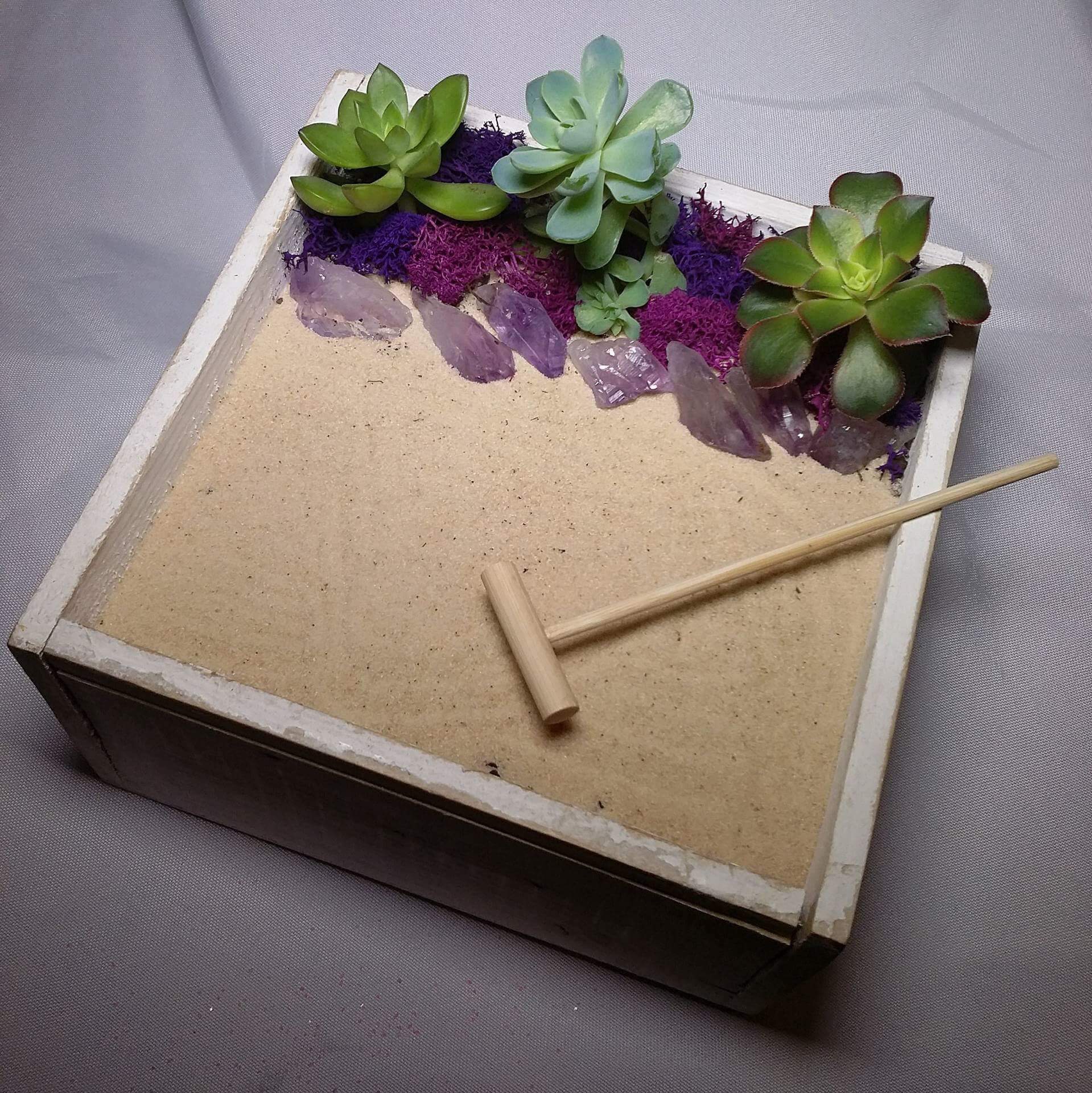 A Zen Succulents with Crystals plant nite project by Yaymaker