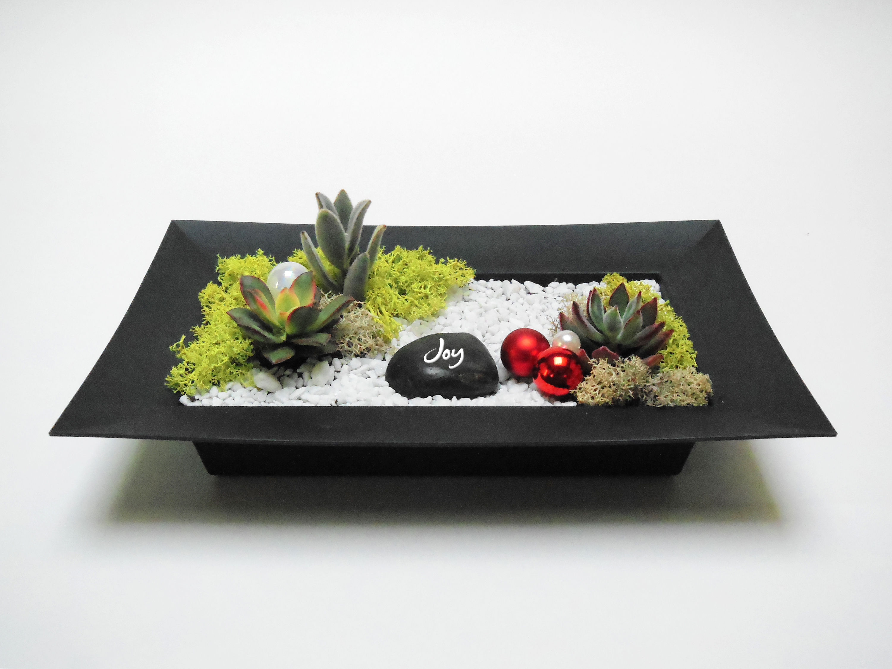 A Holiday Joy  Tray Planter plant nite project by Yaymaker