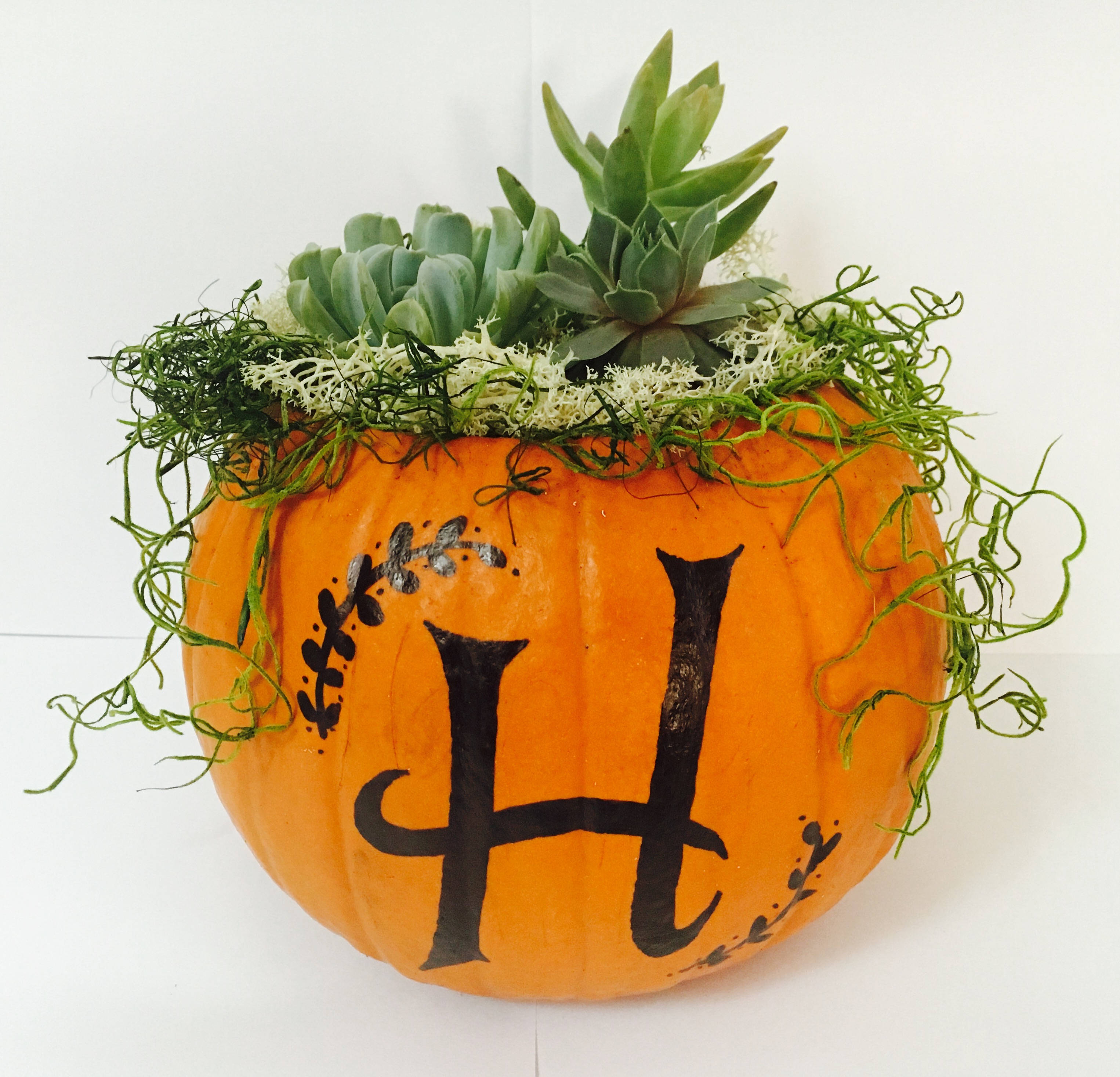 A Succulents in Pumpkin w Monogram plant nite project by Yaymaker