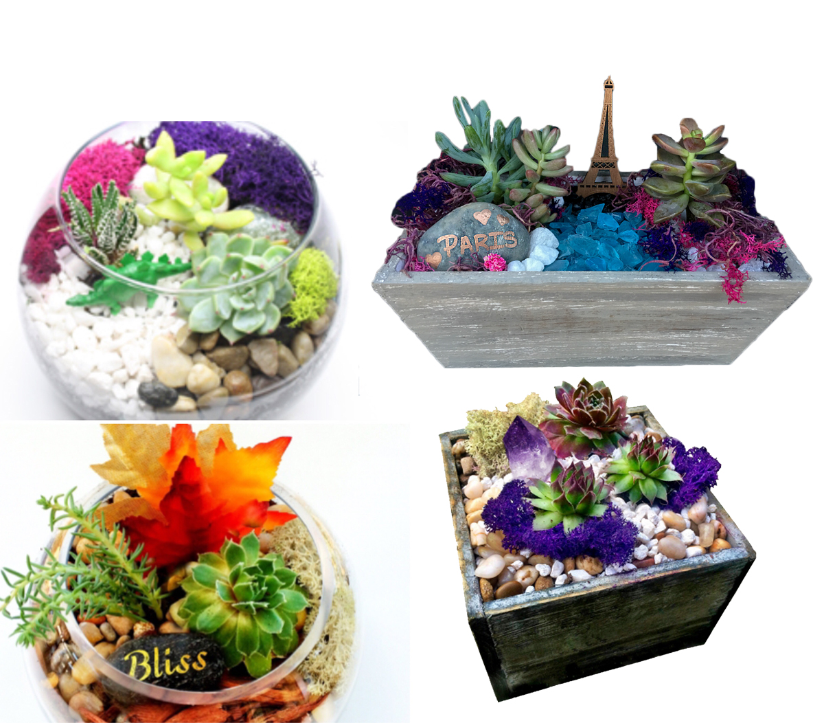 A Choose Your Theme Fall  Dinosaur Crystal  Paris plant nite project by Yaymaker