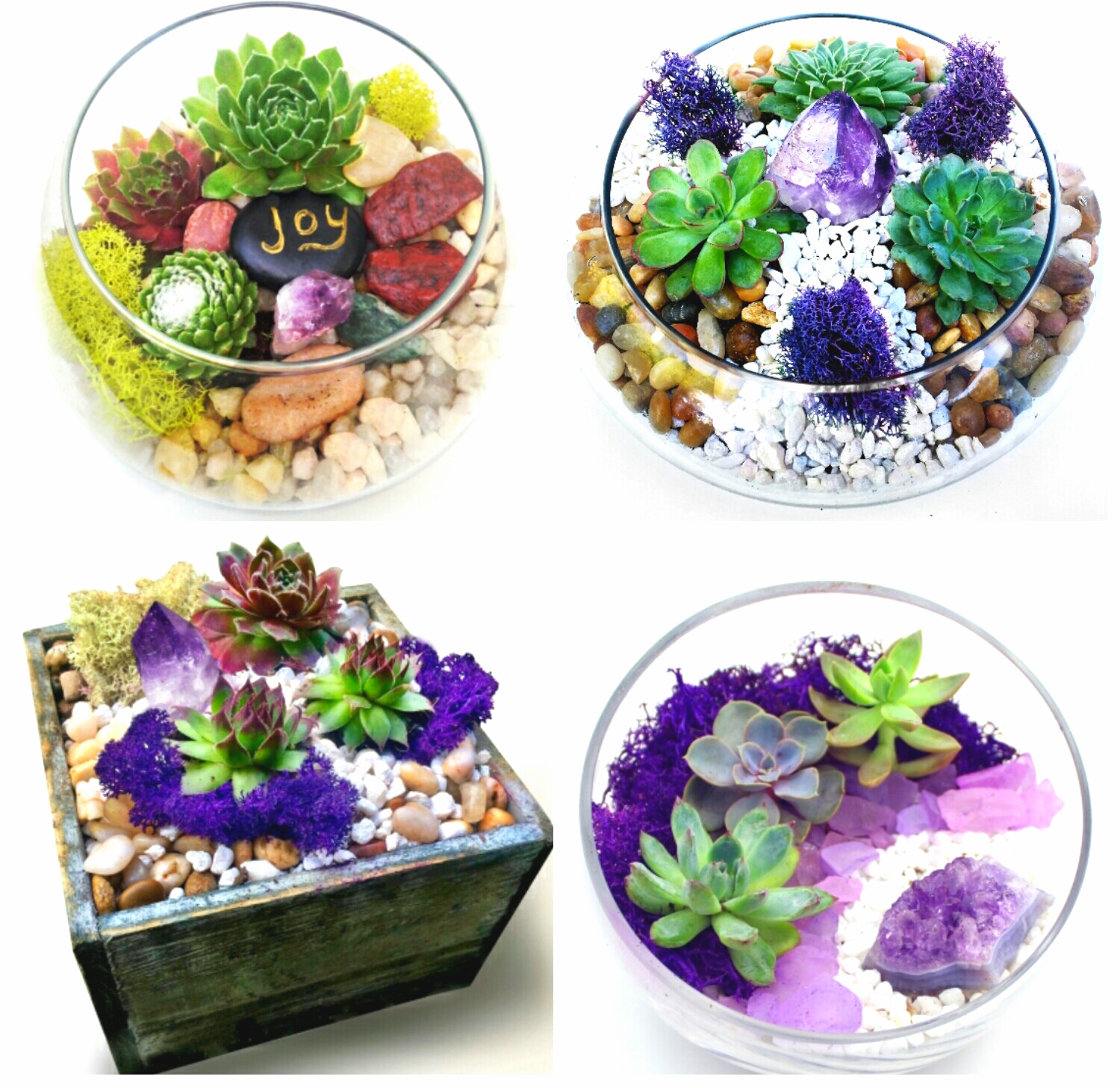 A Succulent Garden or Terrarium with Amethyst Crystal You Pick the Design plant nite project by Yaymaker