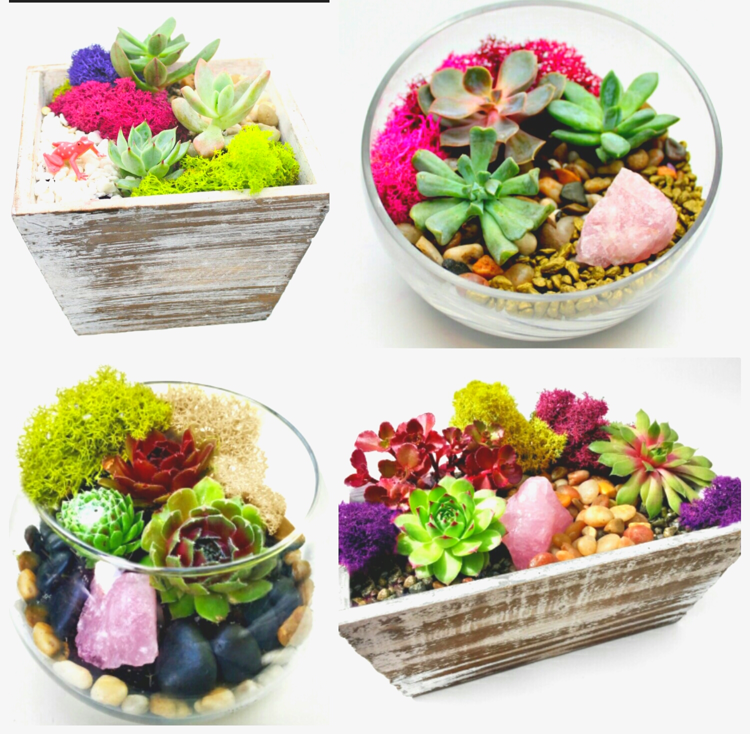 A Succulent Garden or Terrarium with Rose Quartz Crystal You Pick the Design plant nite project by Yaymaker