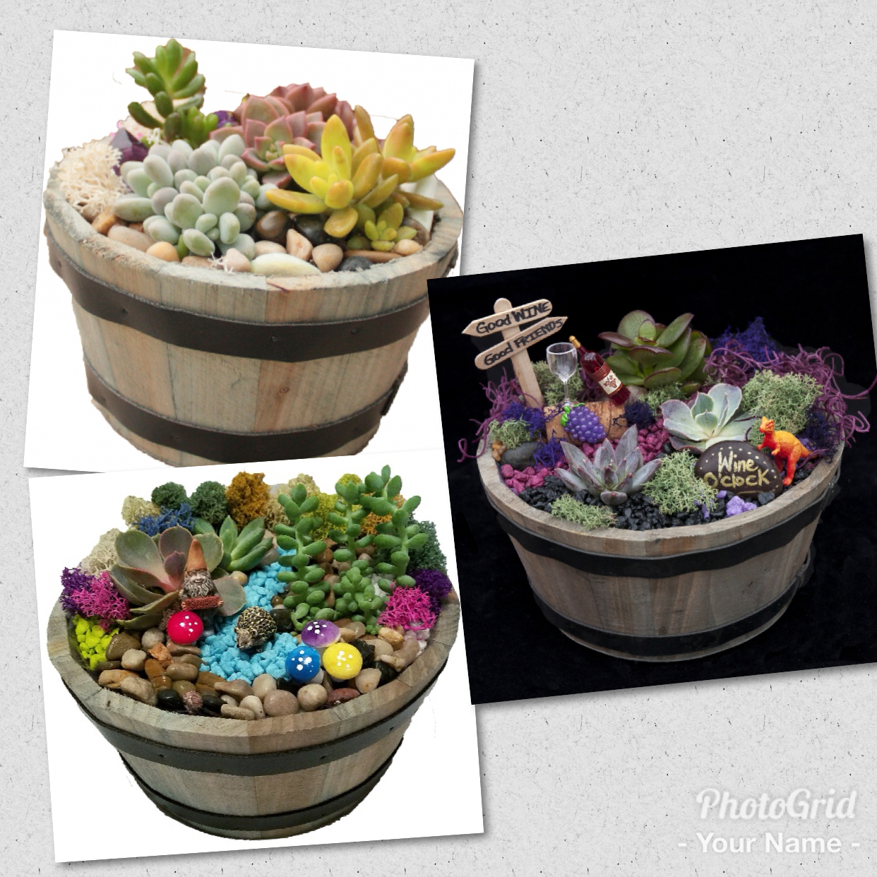 A Whiskey Barrel Terrarium plant nite project by Yaymaker