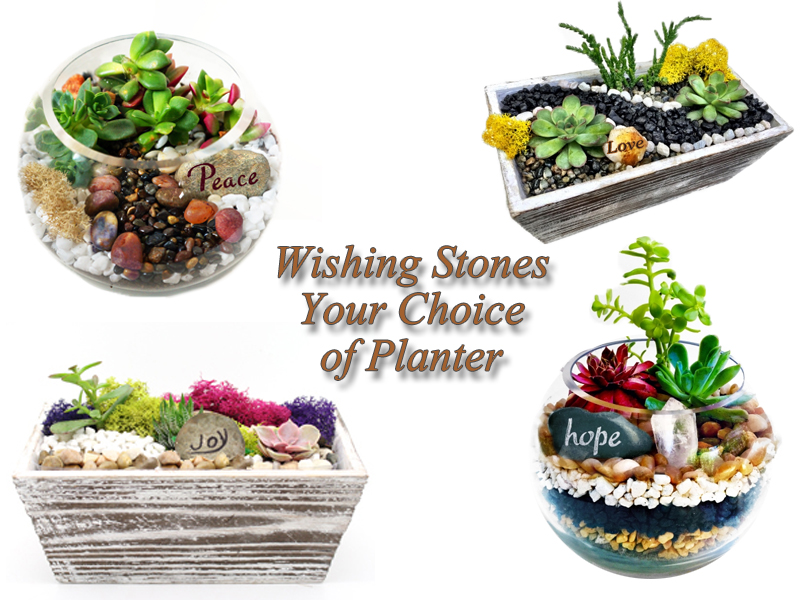 A Wishing Stones   Crystals You Choose Wooden or Glass Container plant nite project by Yaymaker