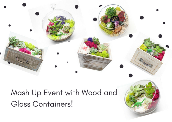 A Wood and Glass Container Mash Up plant nite project by Yaymaker