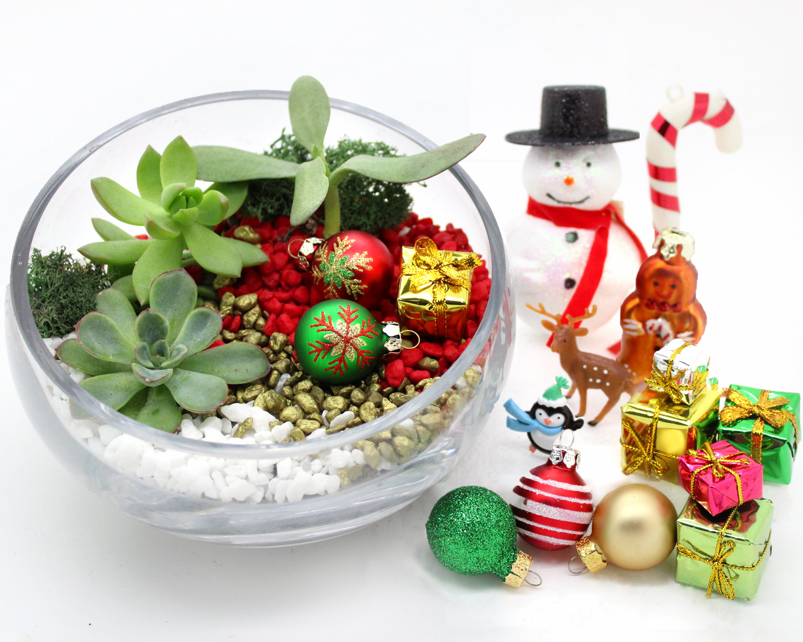 A Create Your Christmas Slope Bowl w assorted seasonal decoration choices plant nite project by Yaymaker