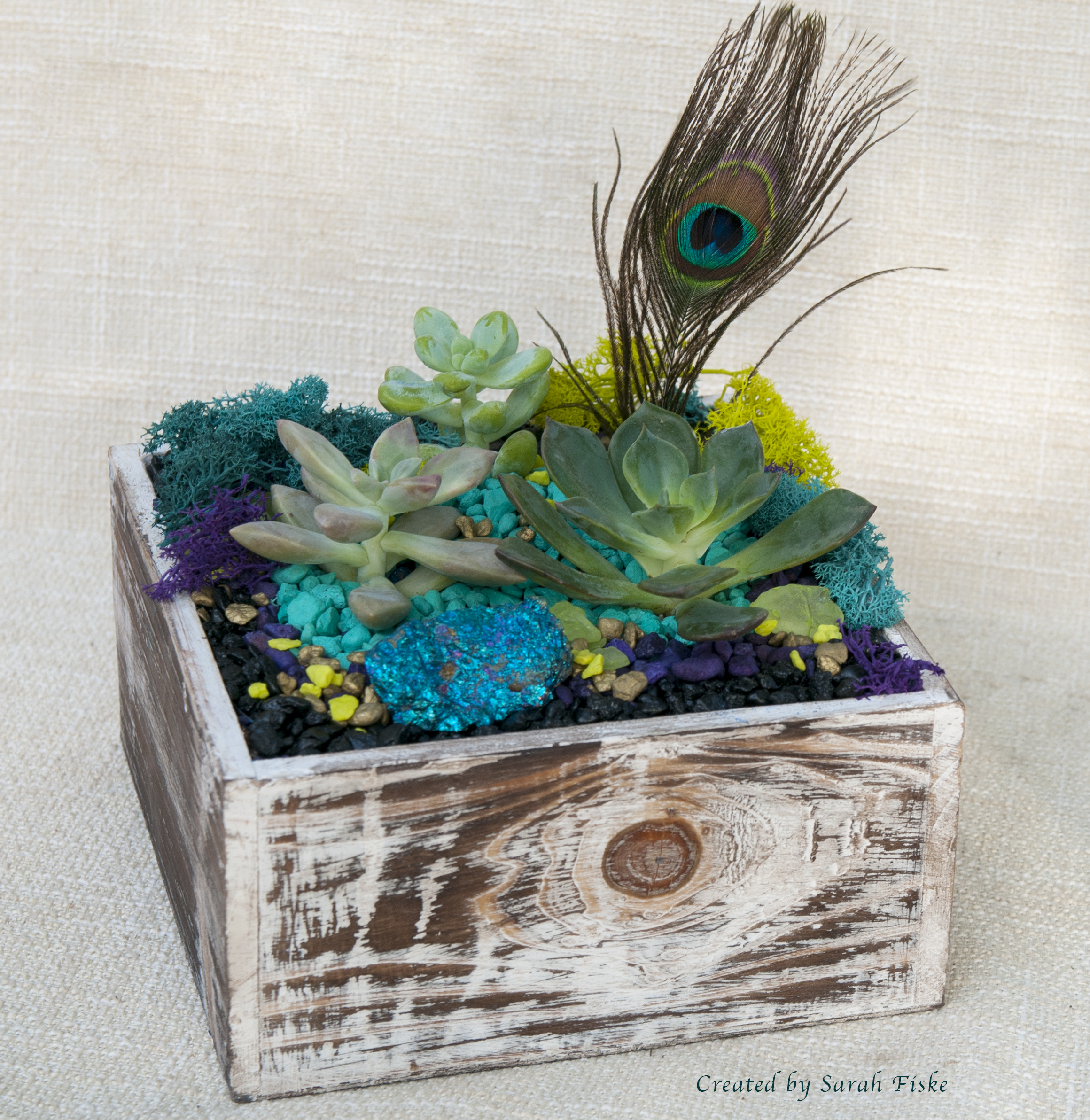 A Peacock in Distressed Wood plant nite project by Yaymaker