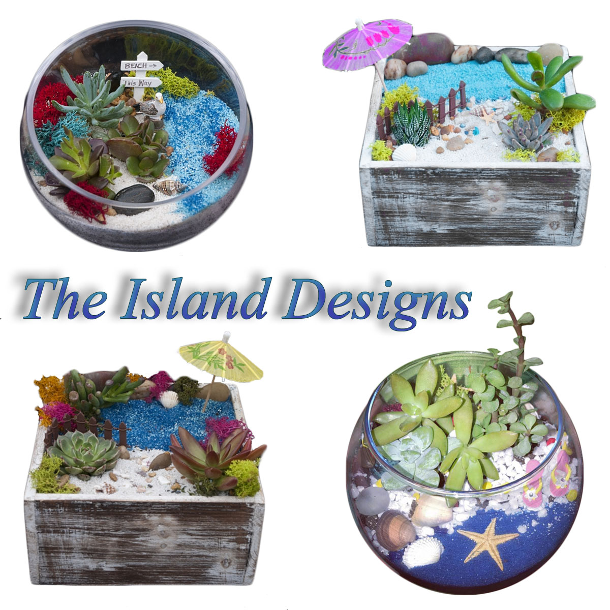 A Island Designs  Your Choice plant nite project by Yaymaker