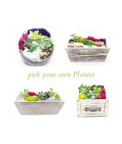 A Pick Your Own Planter plant nite project by Yaymaker