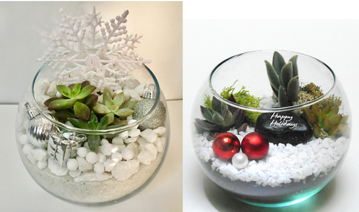 A WinterHoliday Rose Bowl plant nite project by Yaymaker