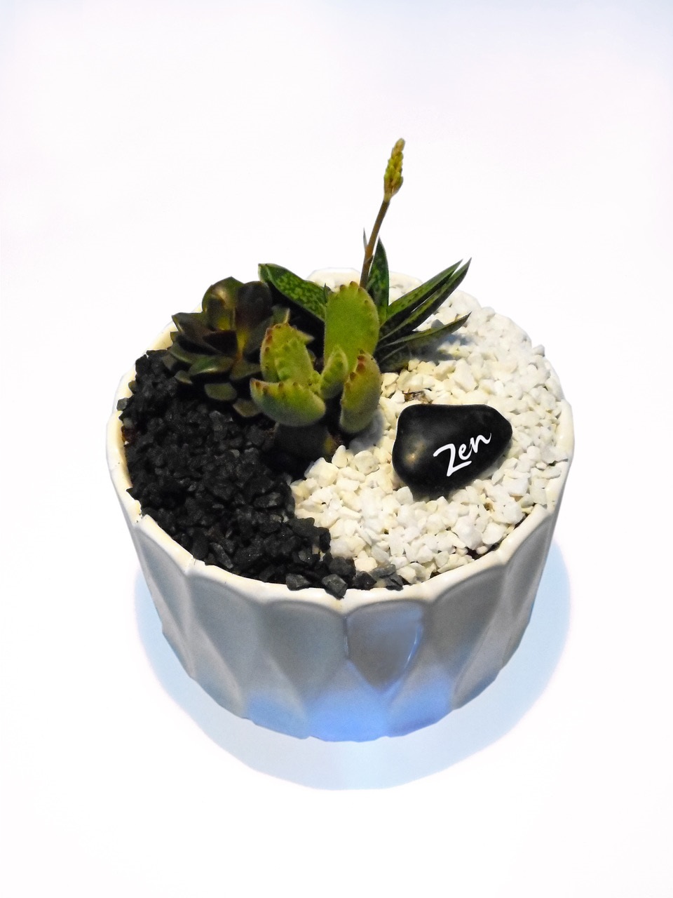 A Zen Garden  White Ceramic Bowl plant nite project by Yaymaker