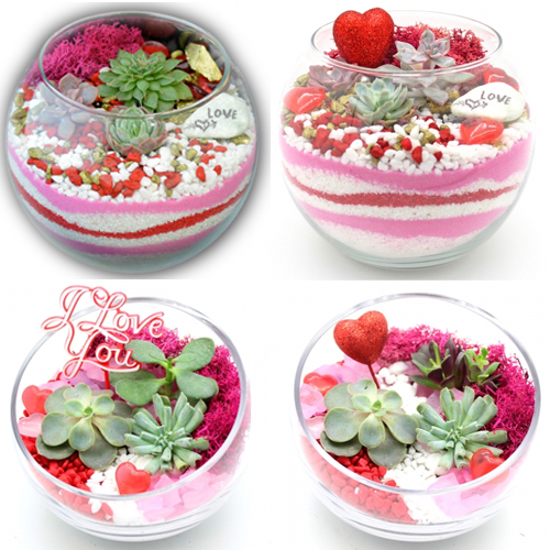 A Valentine Love Glass Terrarium MashUp plant nite project by Yaymaker