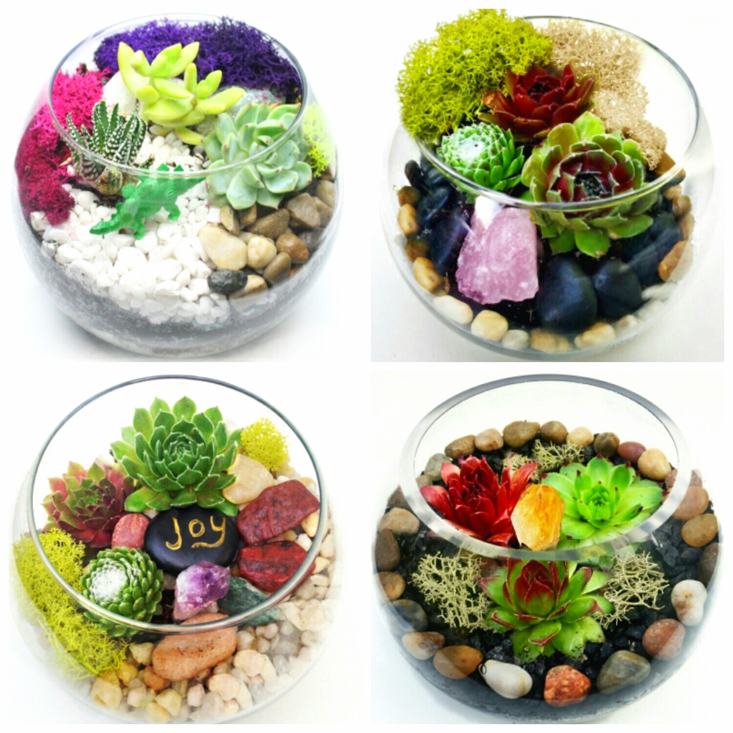 A Design Your Own Succulent Garden in Glass Container plant nite project by Yaymaker