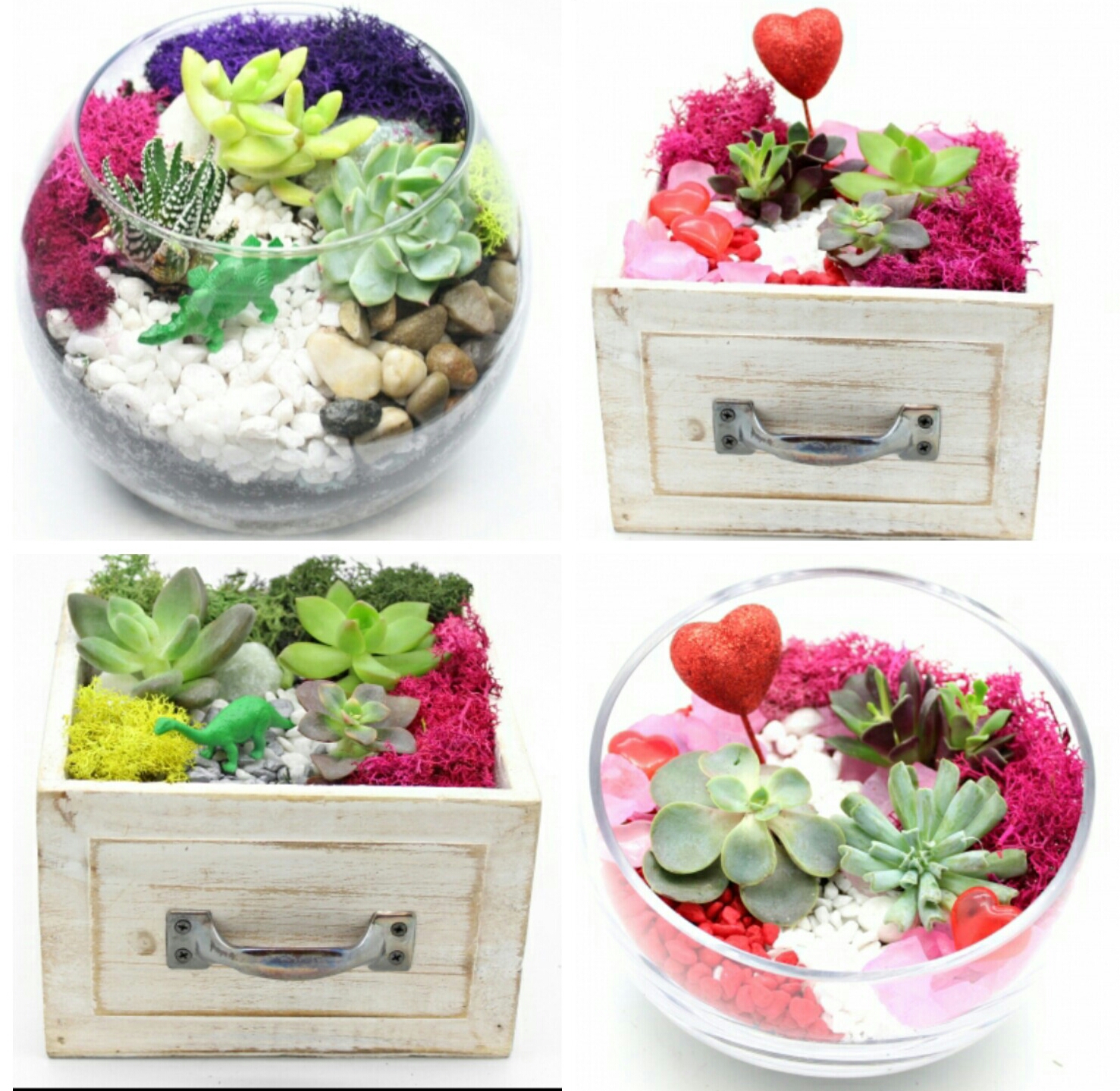 A Create a Valentine or Classic Design Succulent Garden Pick the Wood Drawer Glass Container plant nite project by Yaymaker