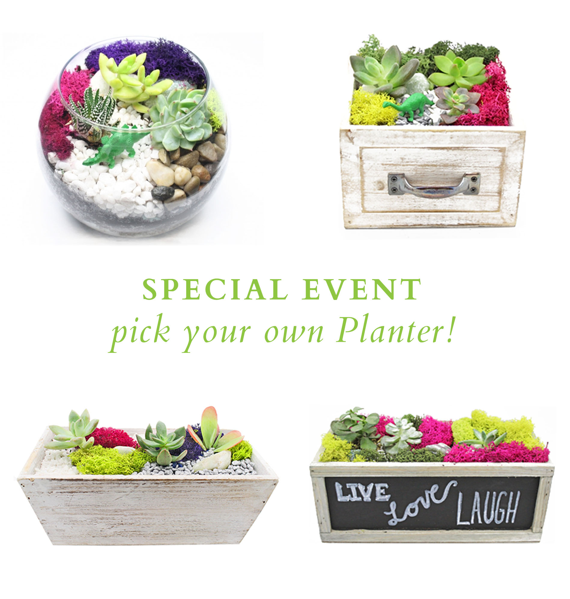 A Pick Your Own Planter  Special Event plant nite project by Yaymaker