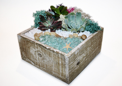 A Tranquility Sea Terrarium plant nite project by Yaymaker