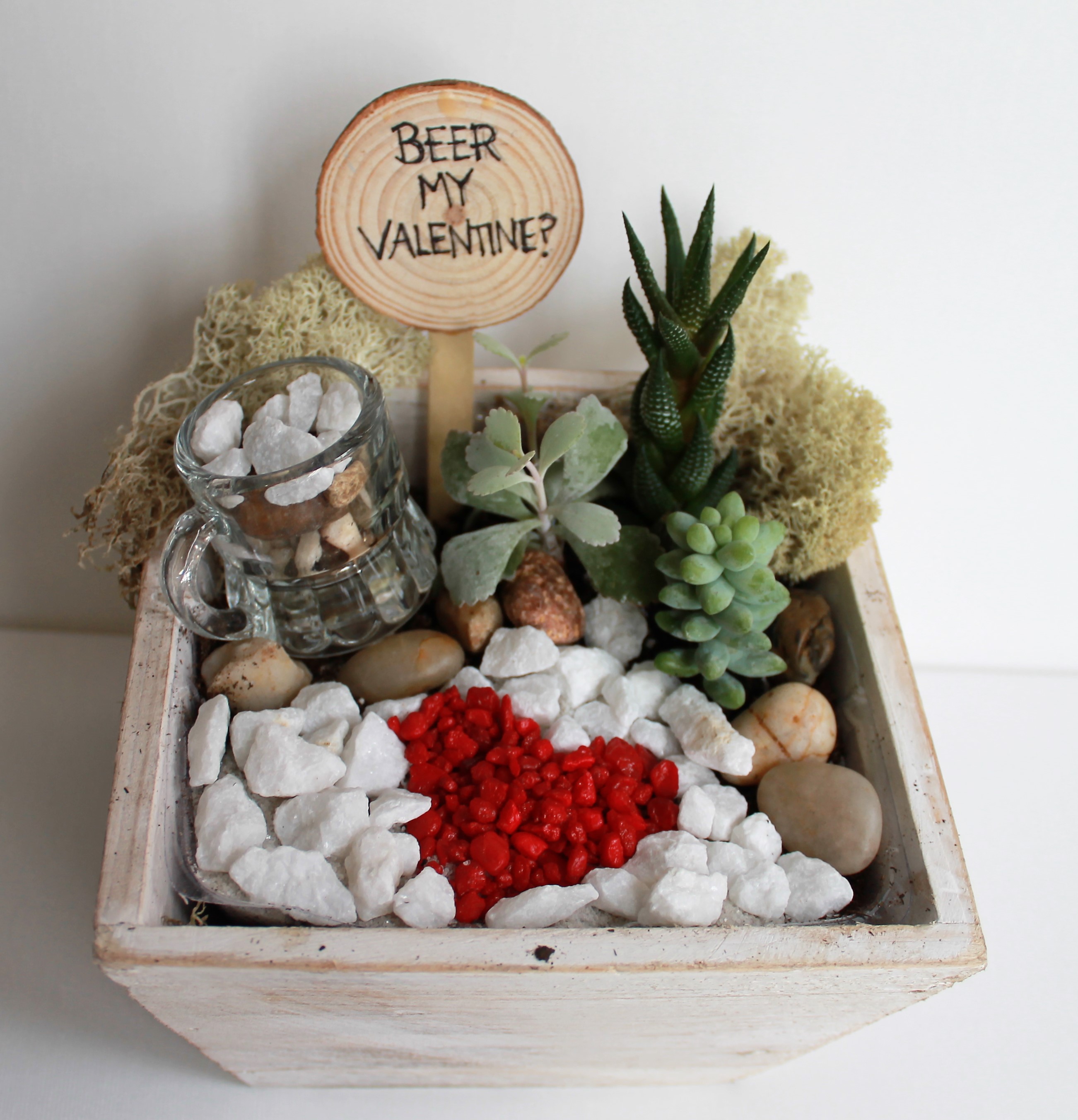 A Beer My Valentine Succulent Terrarium plant nite project by Yaymaker