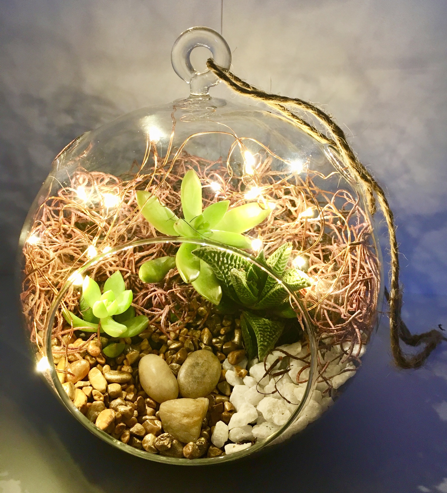 A Hanging Globe Succulent Terrarium w Fairy Lights plant nite project by Yaymaker