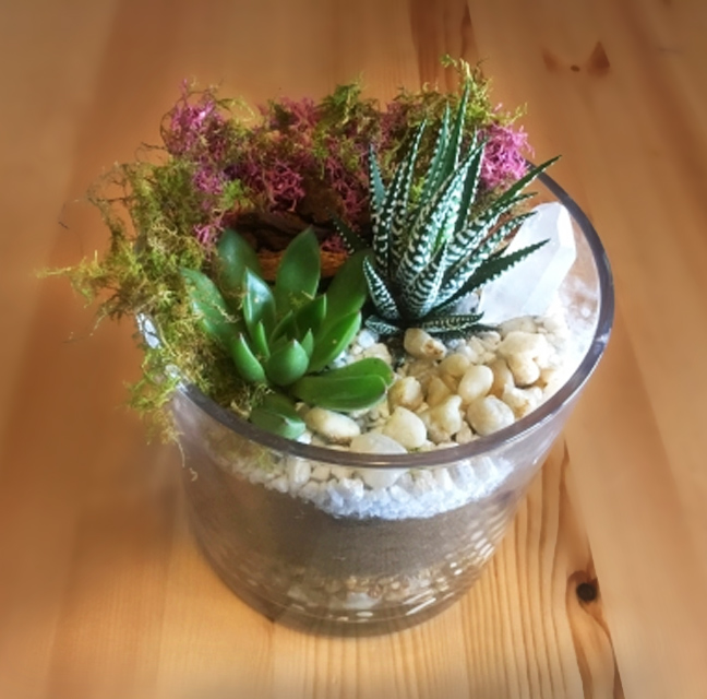 A Natural Elements Succulents in Cylinder with Clear Quartz plant nite project by Yaymaker