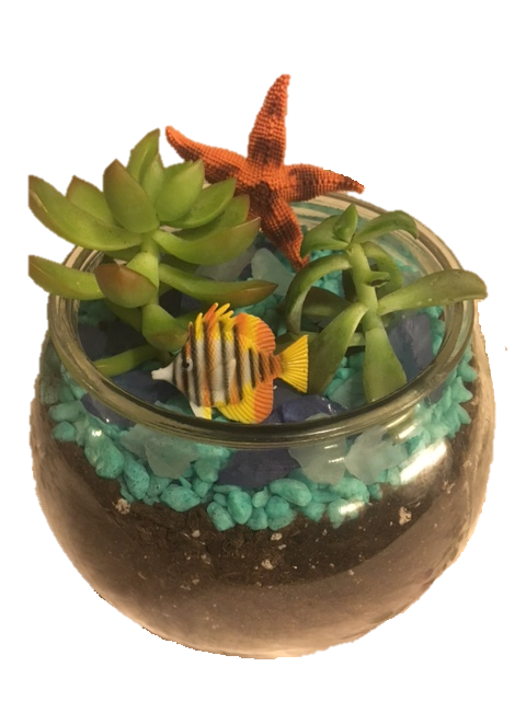 A Seascape in a Rose Bowl plant nite project by Yaymaker
