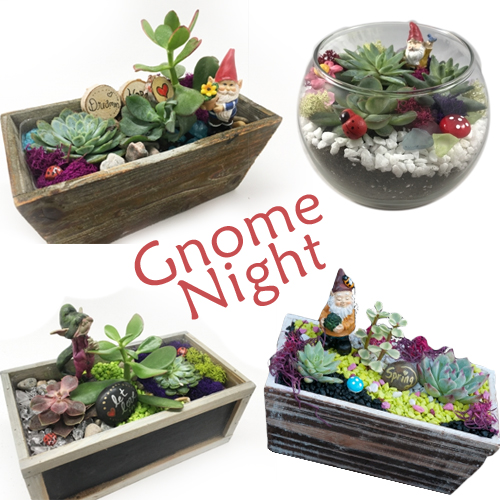 A Gnome Night  Pick Your Planter and Your Gnome plant nite project by Yaymaker