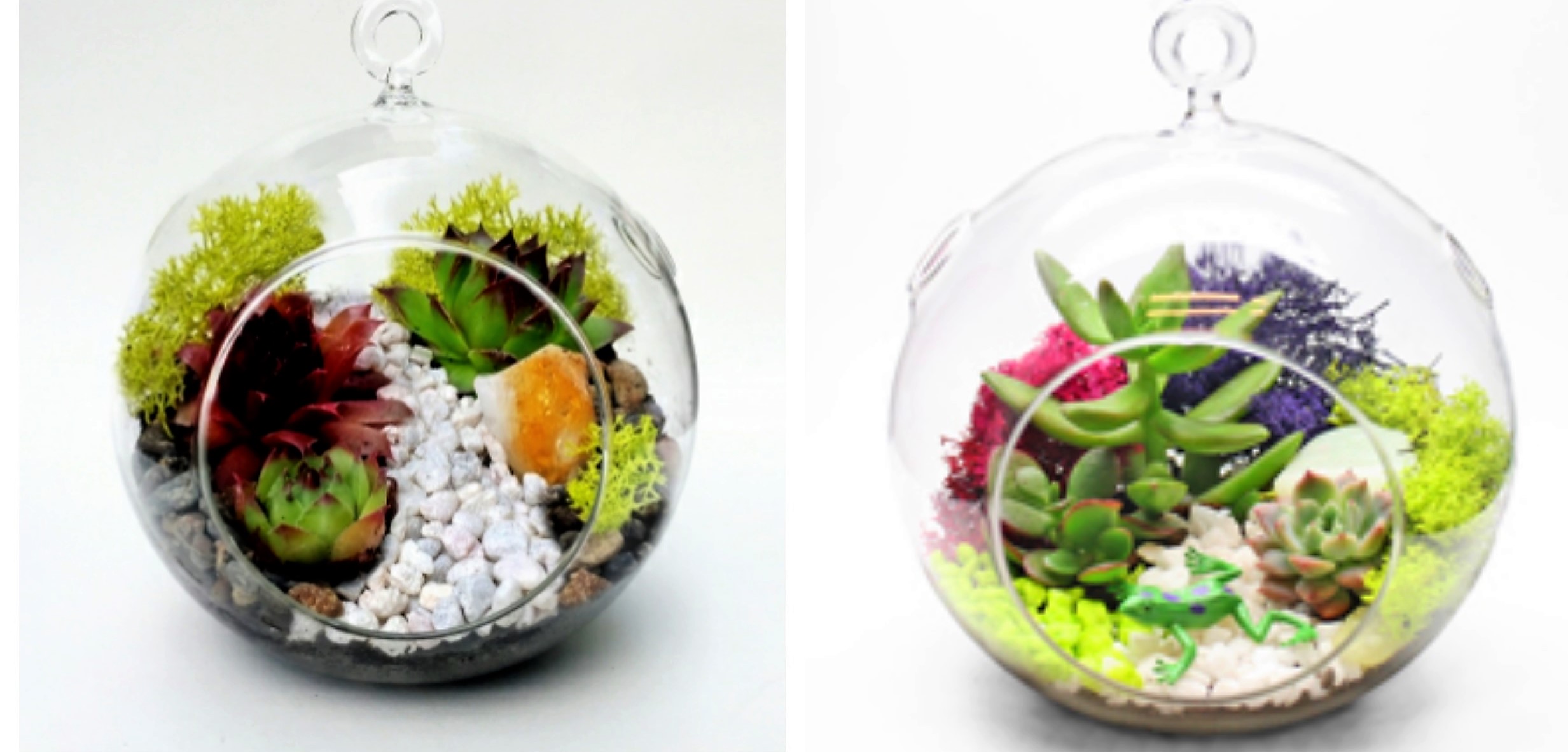 A Tranquil or Dino Hanging Globe plant nite project by Yaymaker