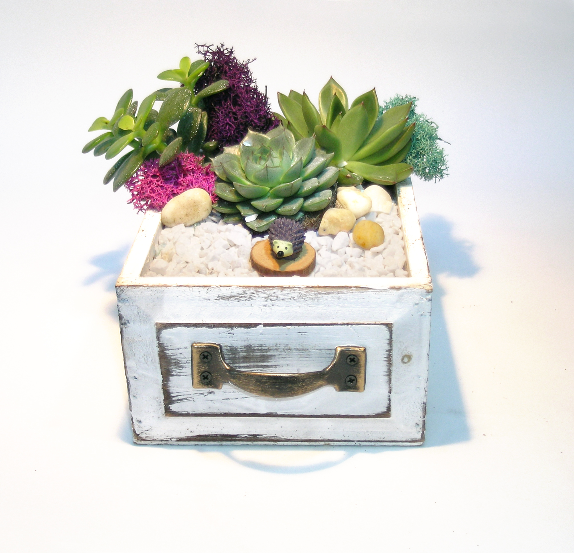 A Hedgehog Wooden Drawer plant nite project by Yaymaker