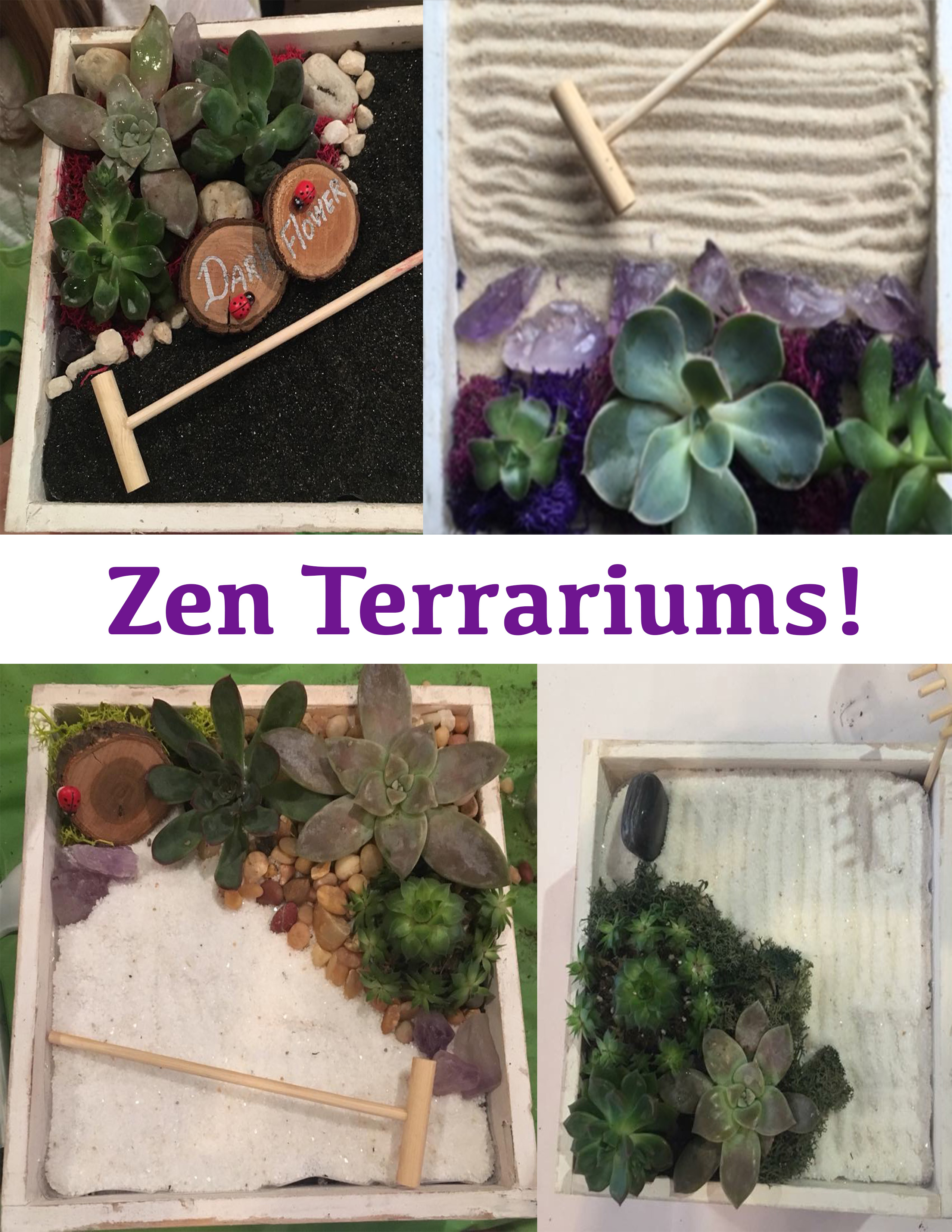 A Zen Succulents plant nite project by Yaymaker