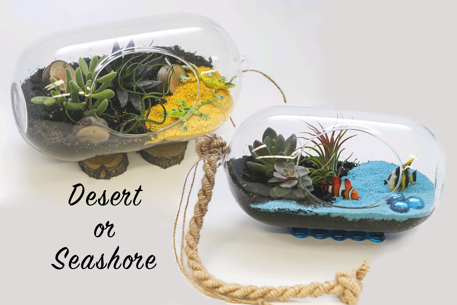 A Desert or Seashore in Orion Glass plant nite project by Yaymaker