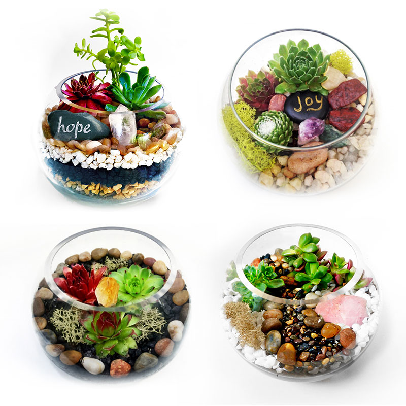 A Succulent Terrarium in Rose Bowl Choose Your Stone plant nite project by Yaymaker