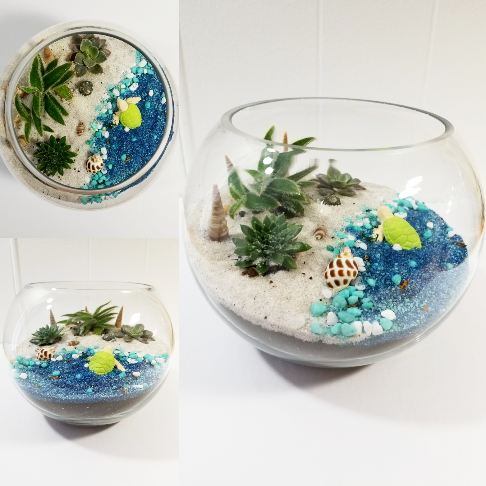 A Sea Shore with Sea Creature Rose Bowl Terrarium plant nite project by Yaymaker