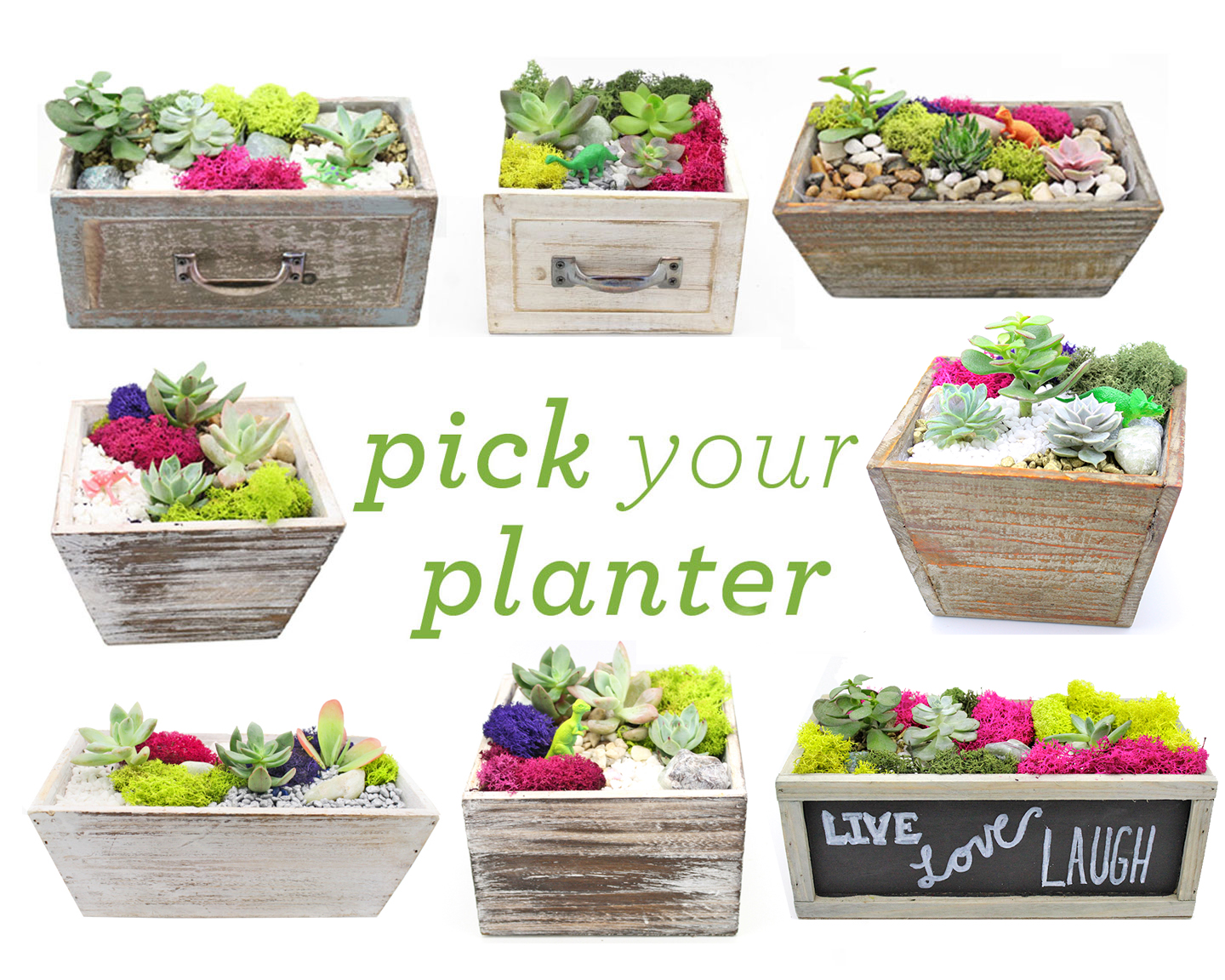 A Pick Your Planter Succulents with Choice of Wood Planter plant nite project by Yaymaker