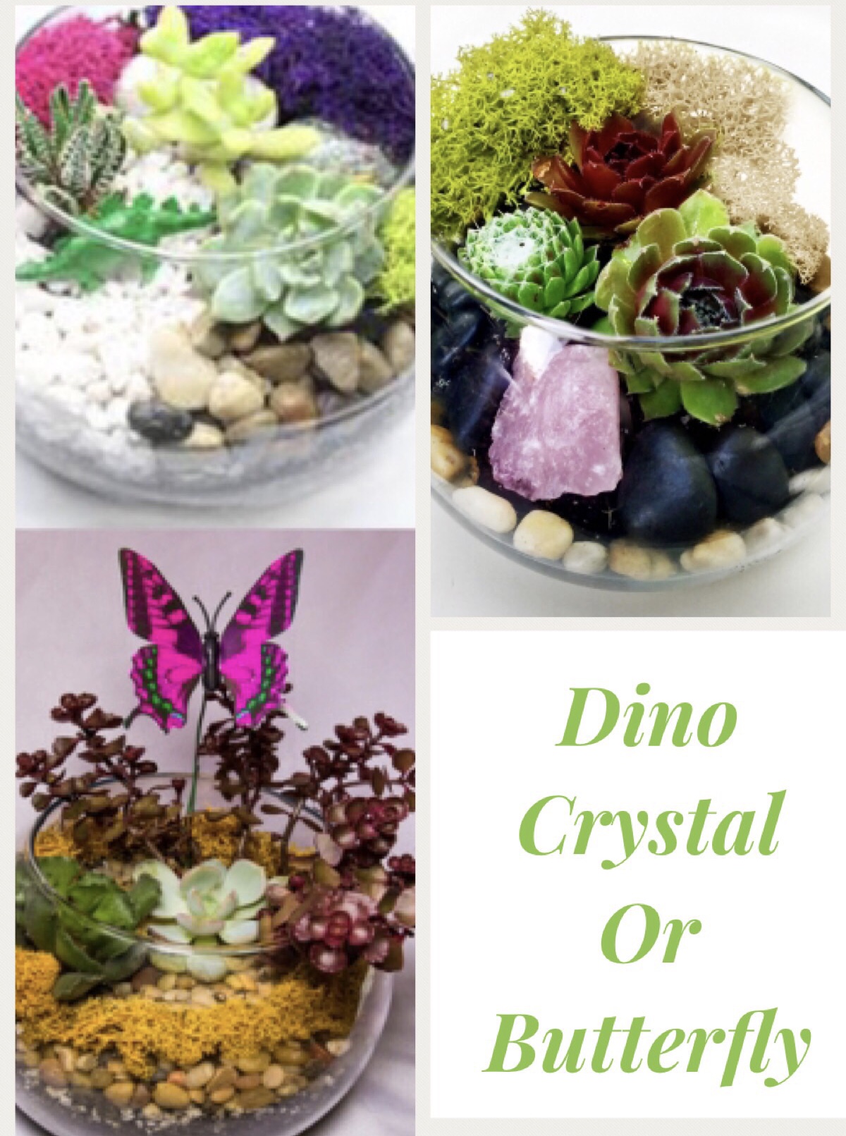 A Dino Crystal or Butterfly plant nite project by Yaymaker