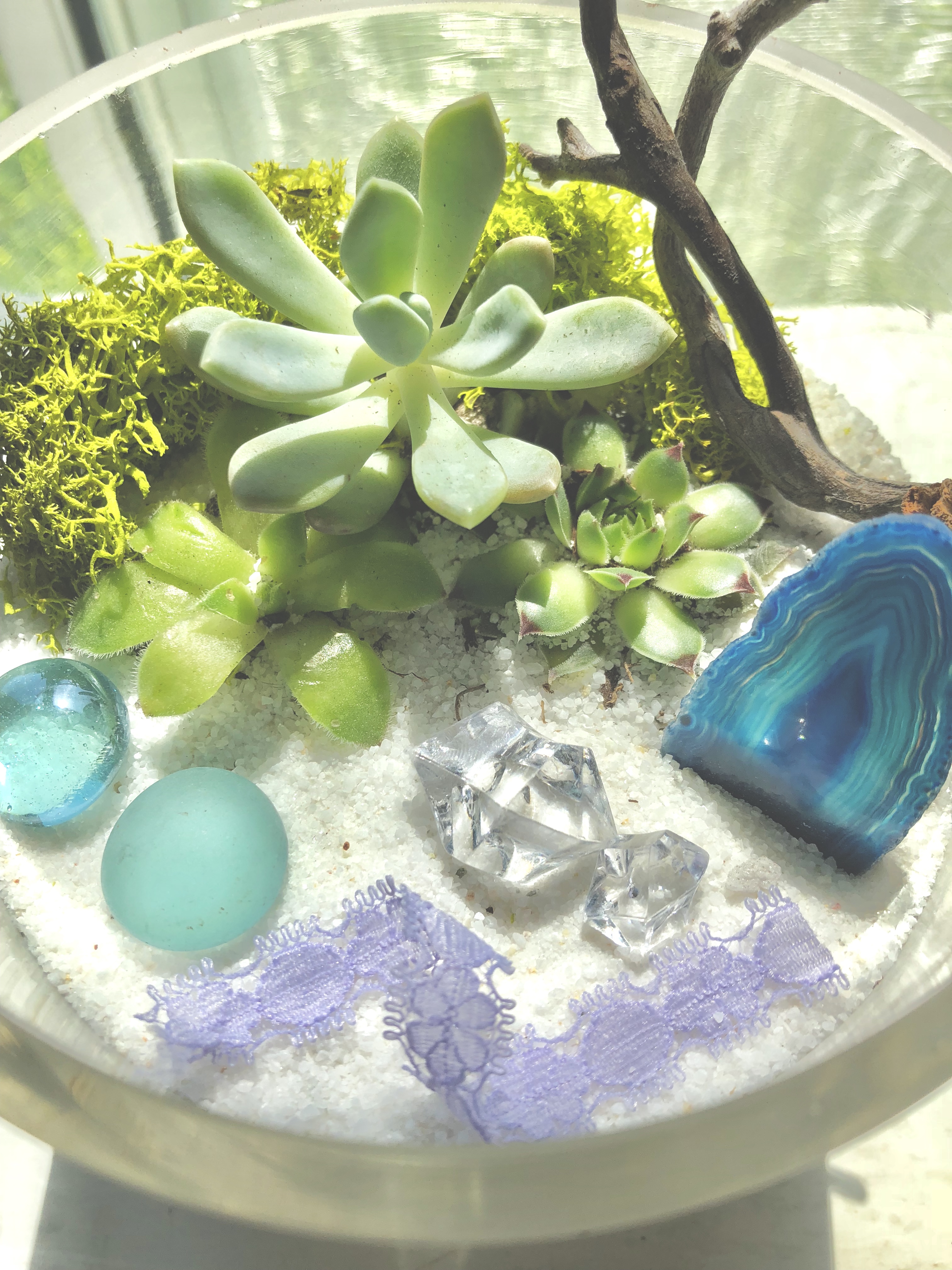 A Boho Agate Terrarium plant nite project by Yaymaker