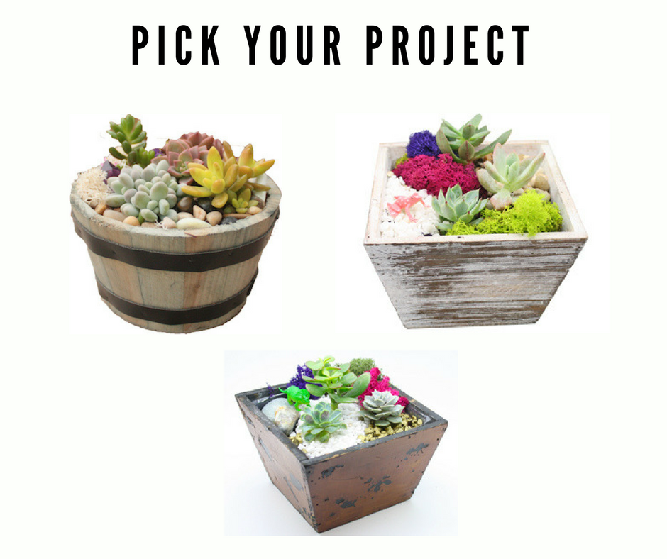A Wood  Barrel Mashup plant nite project by Yaymaker