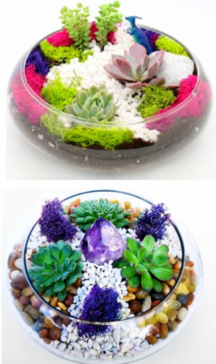 A Succulent Garden in Lily Bowl Pick the Design plant nite project by Yaymaker