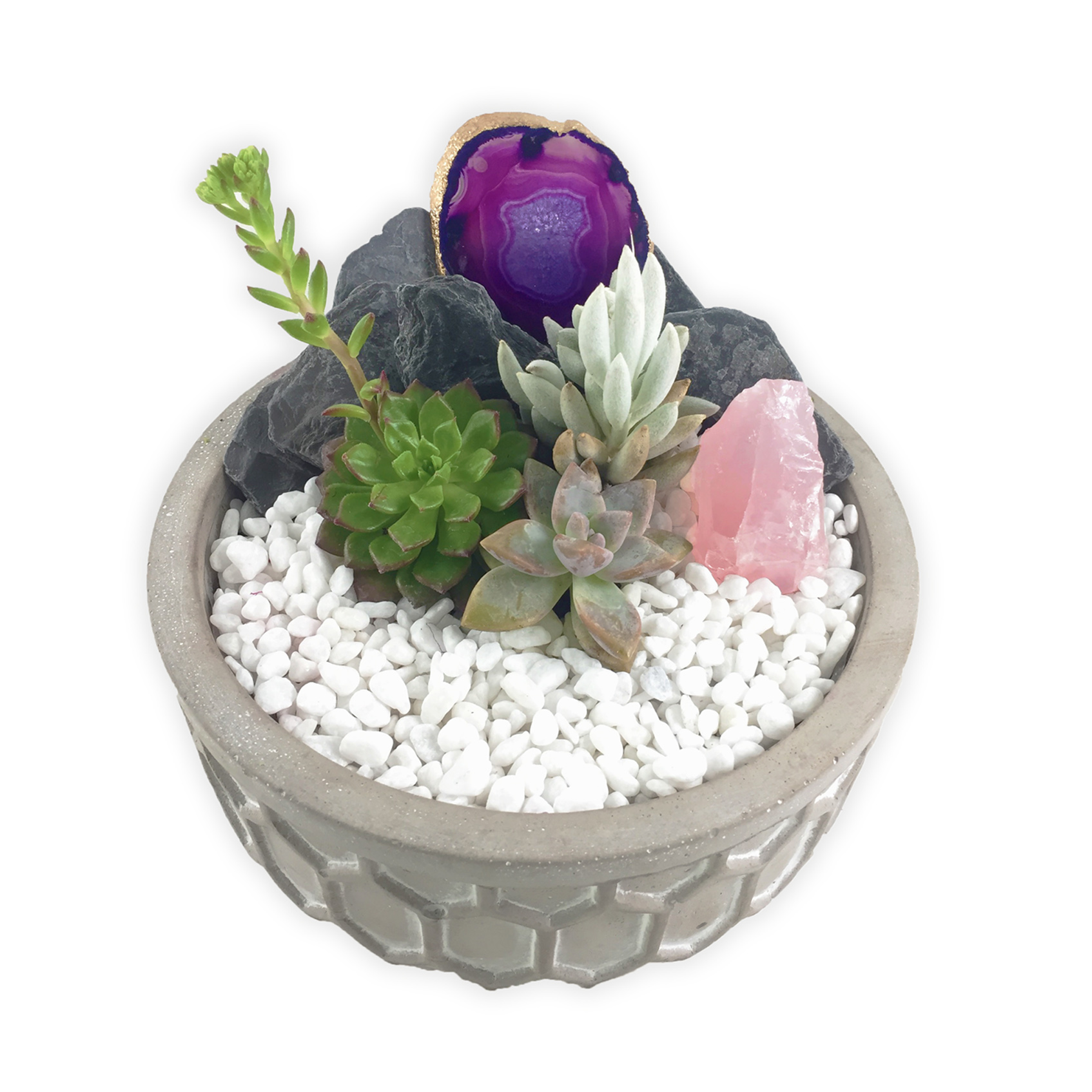 A Agate Slices and Rose Quartz Terrarium in Concrete Planter  SPECIAL PROJECT plant nite project by Yaymaker