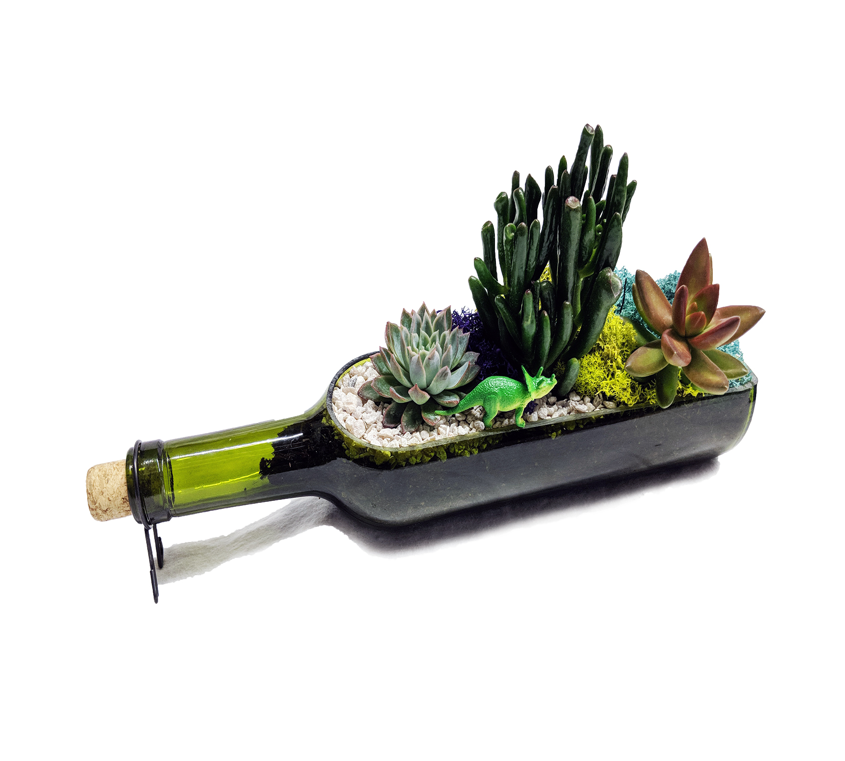 A Wine Bottle Succulent Planter plant nite project by Yaymaker