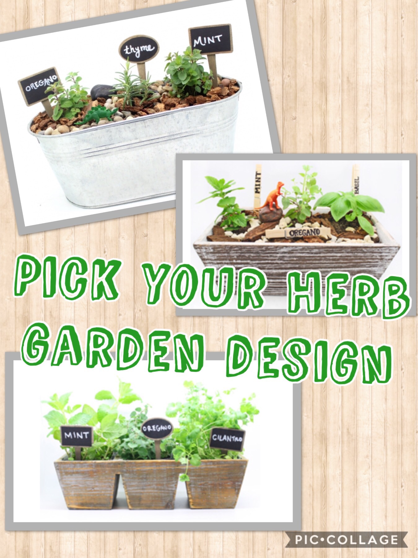 A Herb Garden Mash Up plant nite project by Yaymaker