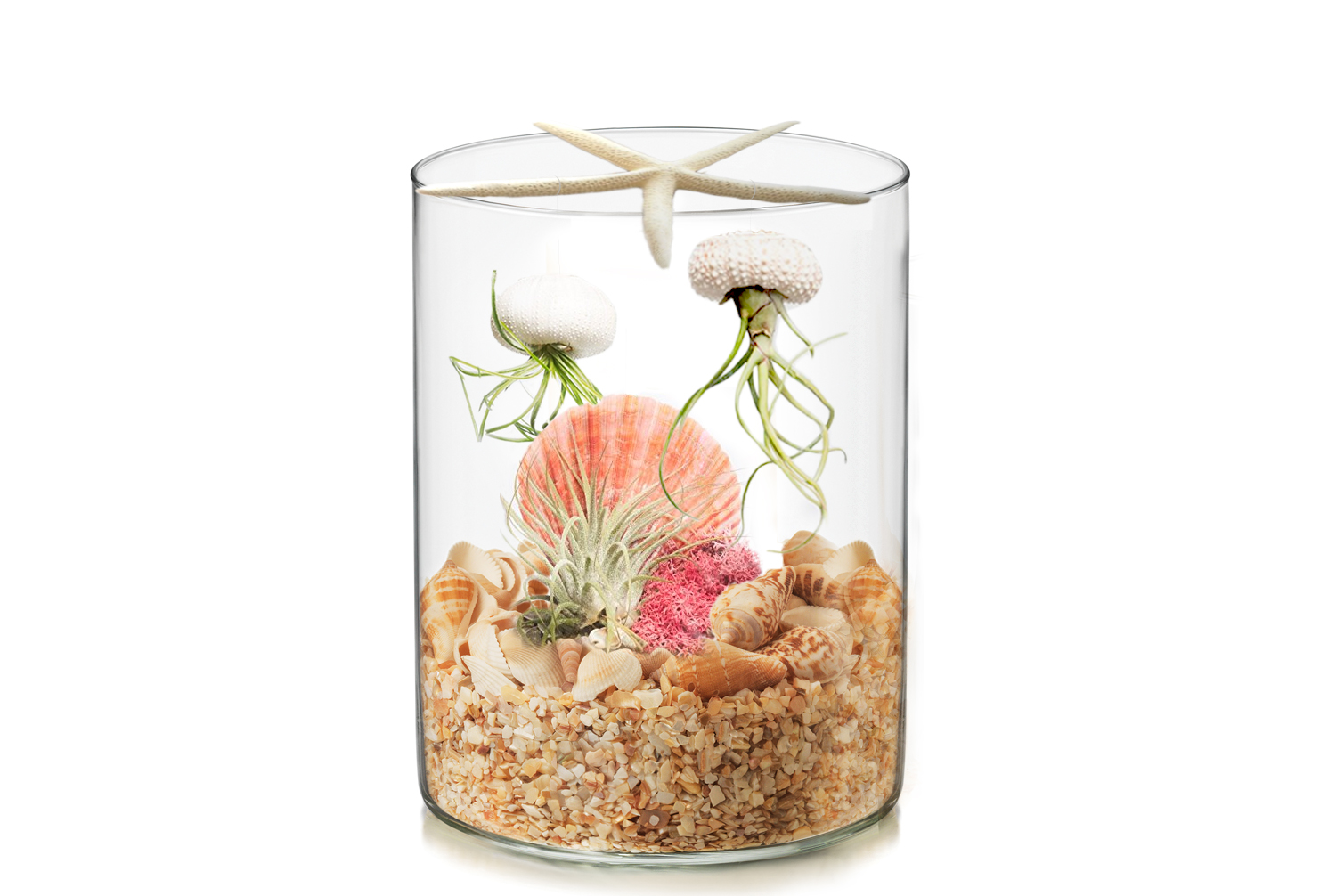 A Jellyfish Under the Sea Terrarium plant nite project by Yaymaker