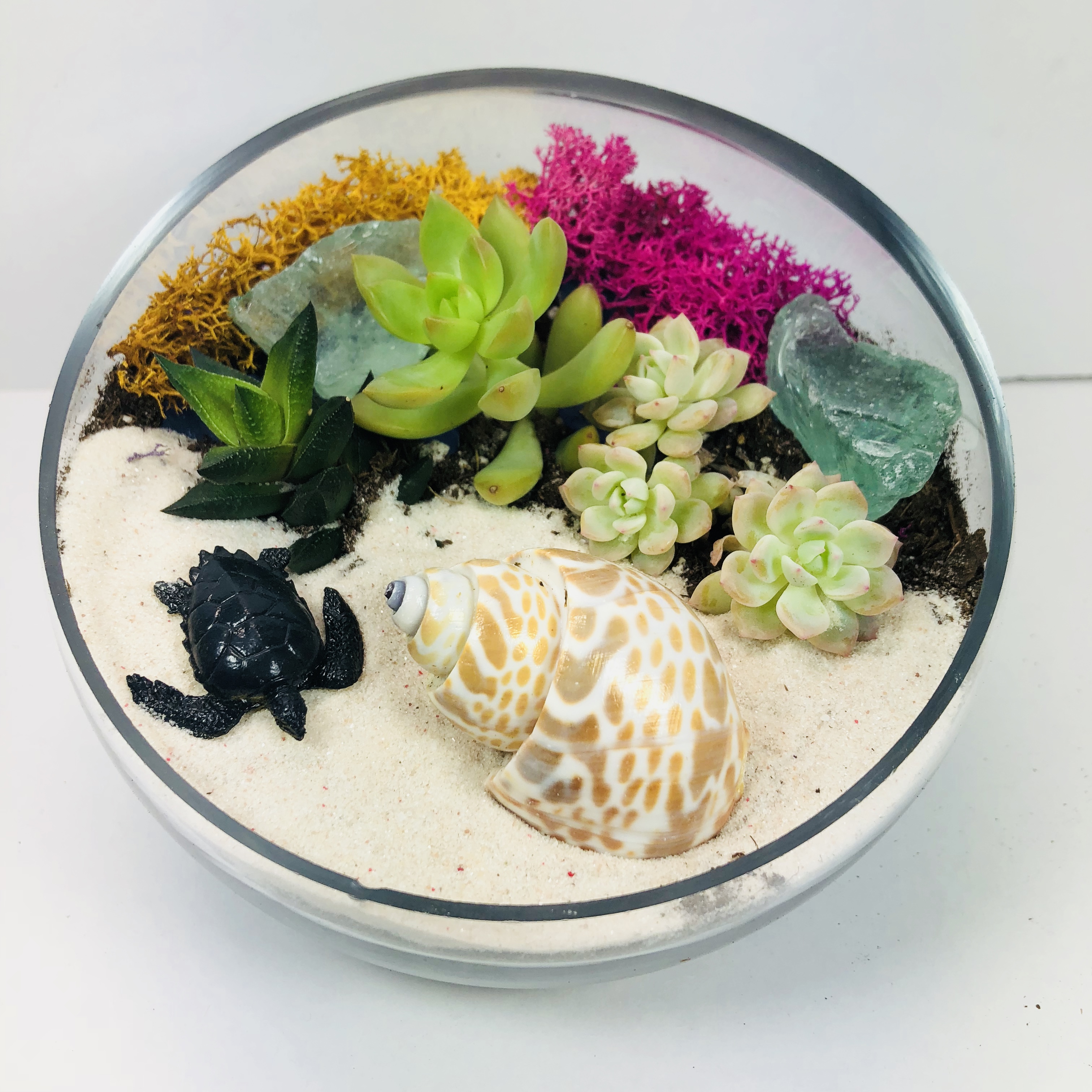 A Beach Side Slope Bowl  with sea creature plant nite project by Yaymaker