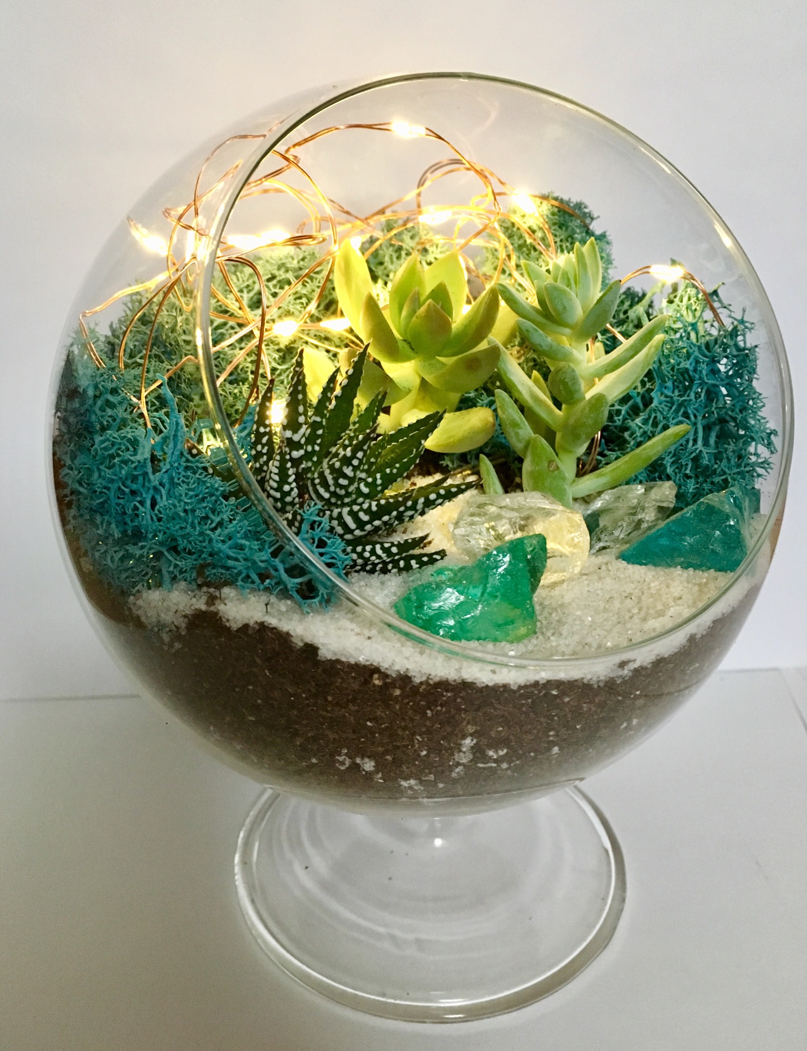 A Fairy Light Succulent Terrarium w Sea Glass in Sloped Glass Bowl w Stand plant nite project by Yaymaker
