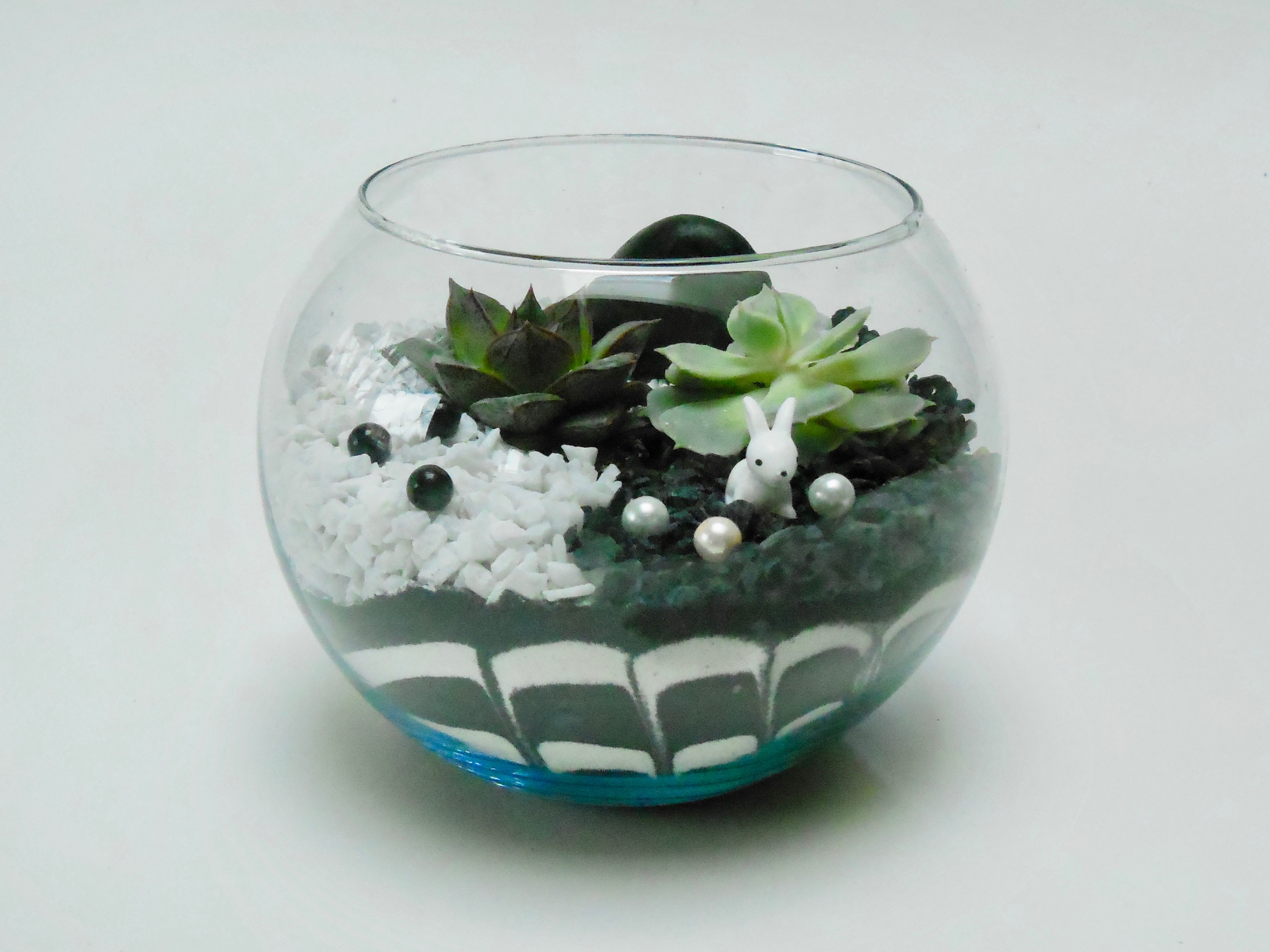 A Yin Yang Bunny  Succulent Sand Art Rose Bowl plant nite project by Yaymaker