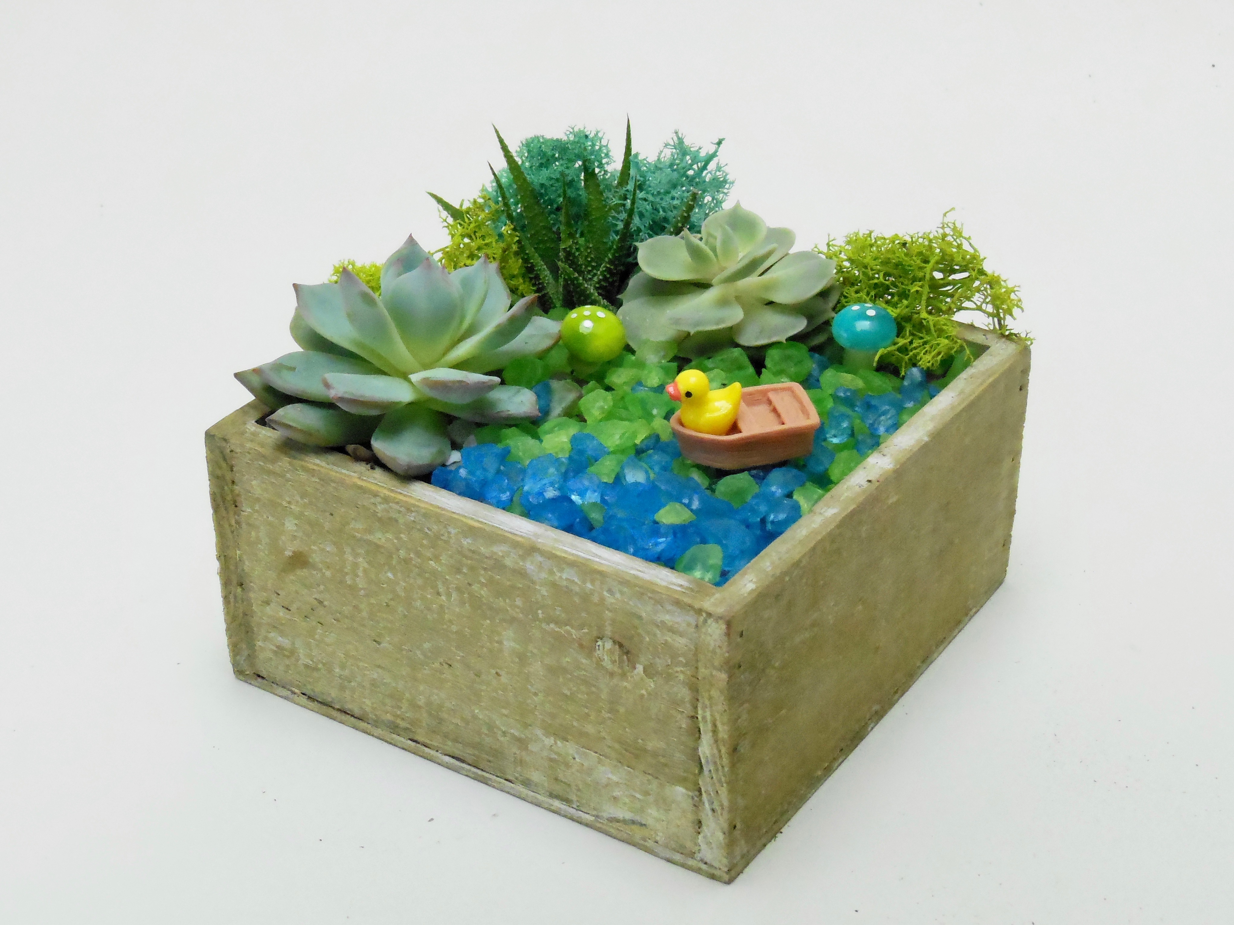 A Boating Duckie  Natural Wood Square Box plant nite project by Yaymaker