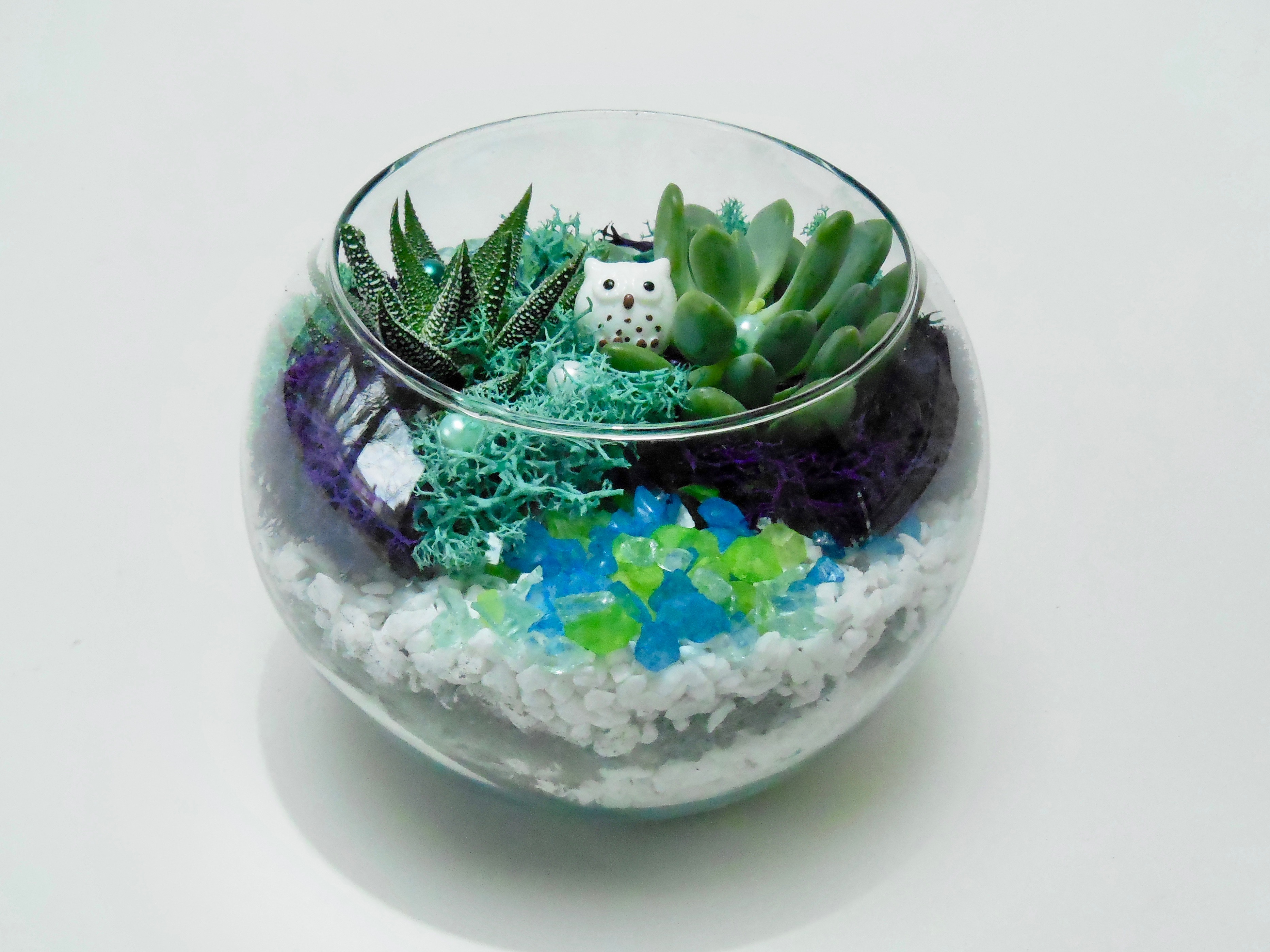 A Owl  Succulent Rose Bowl plant nite project by Yaymaker