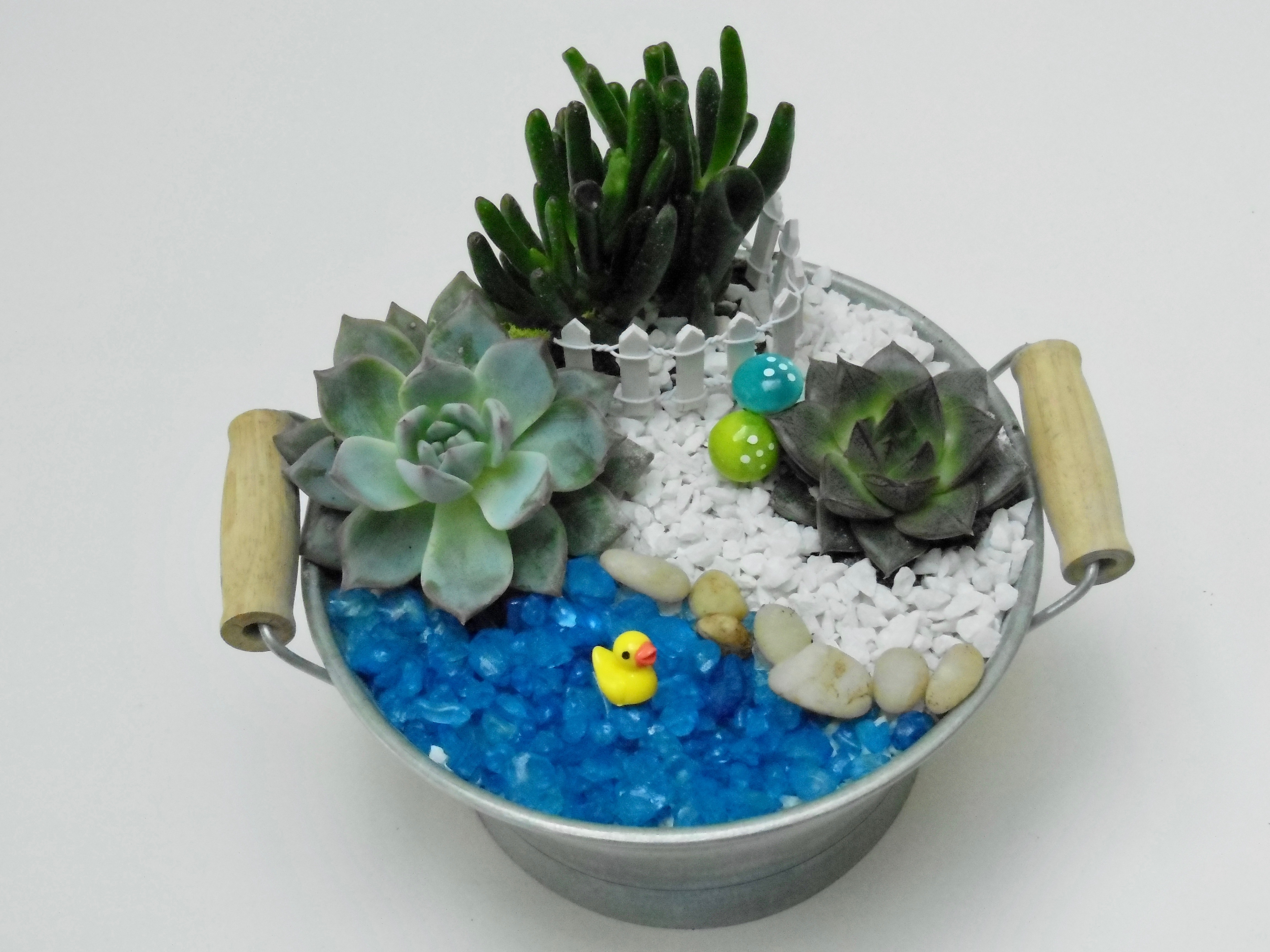 A Duckie Pond  Tin Tub plant nite project by Yaymaker