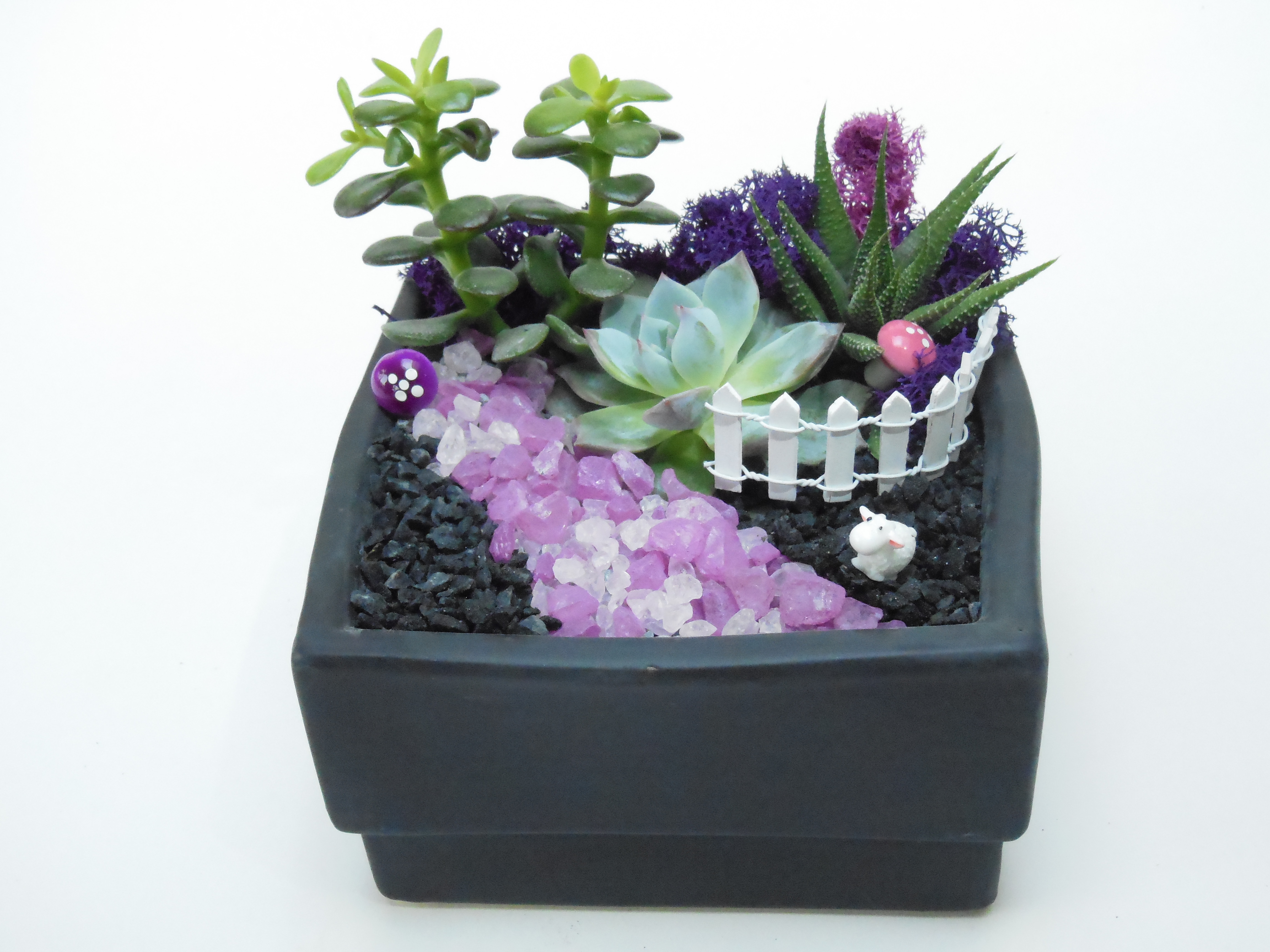 A Sheep Garden  Black Square Ceramic plant nite project by Yaymaker