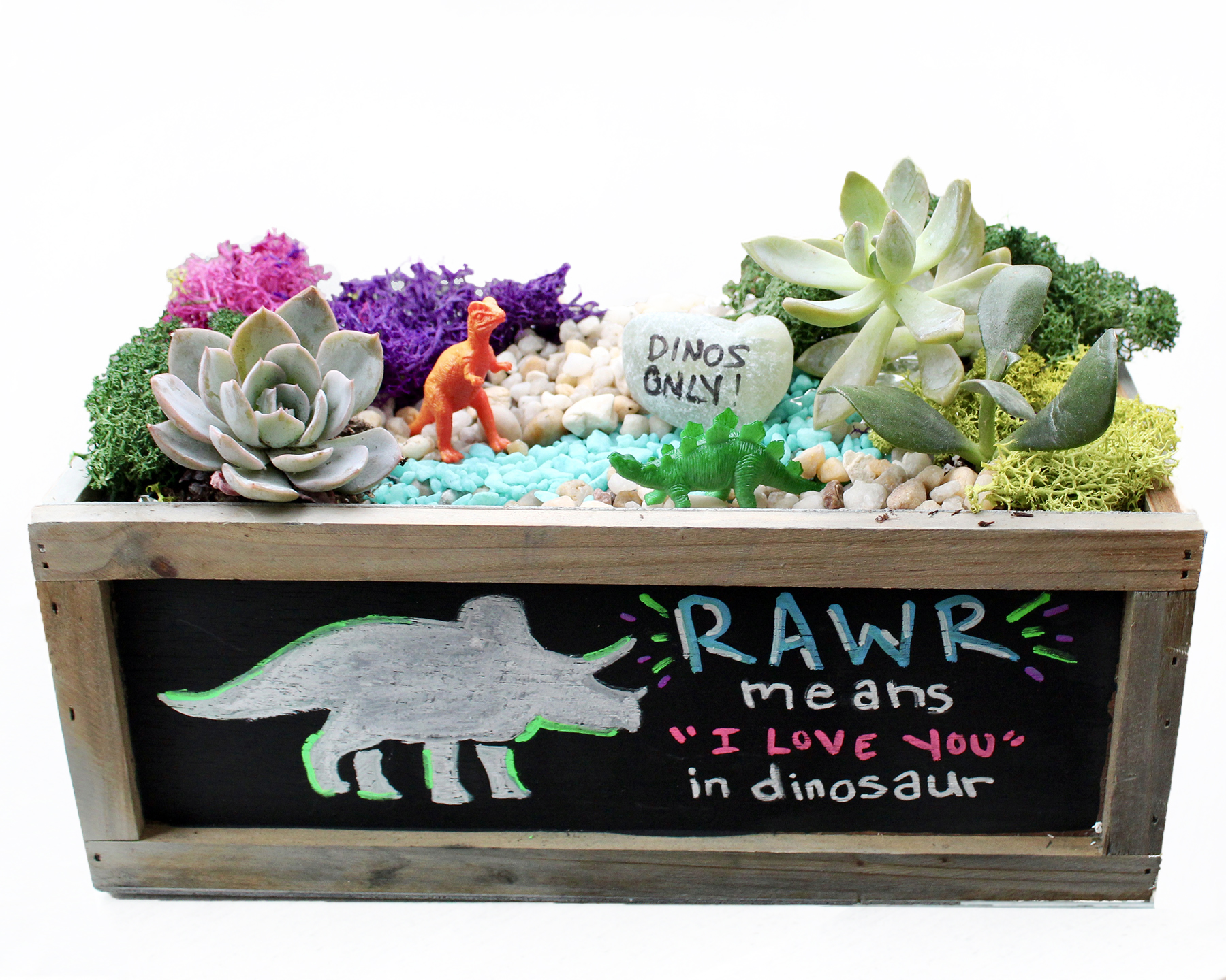 A RAWR Dino Chalkboard Garden plant nite project by Yaymaker